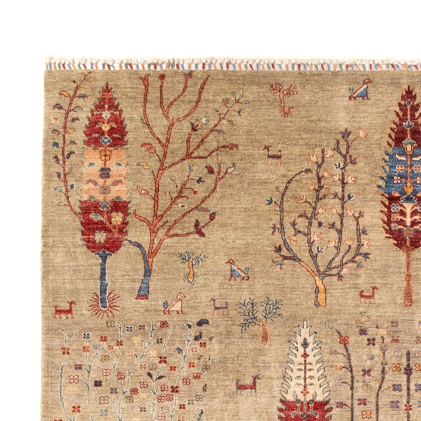 Ariana Rug 342x246cm - Oriental Rug