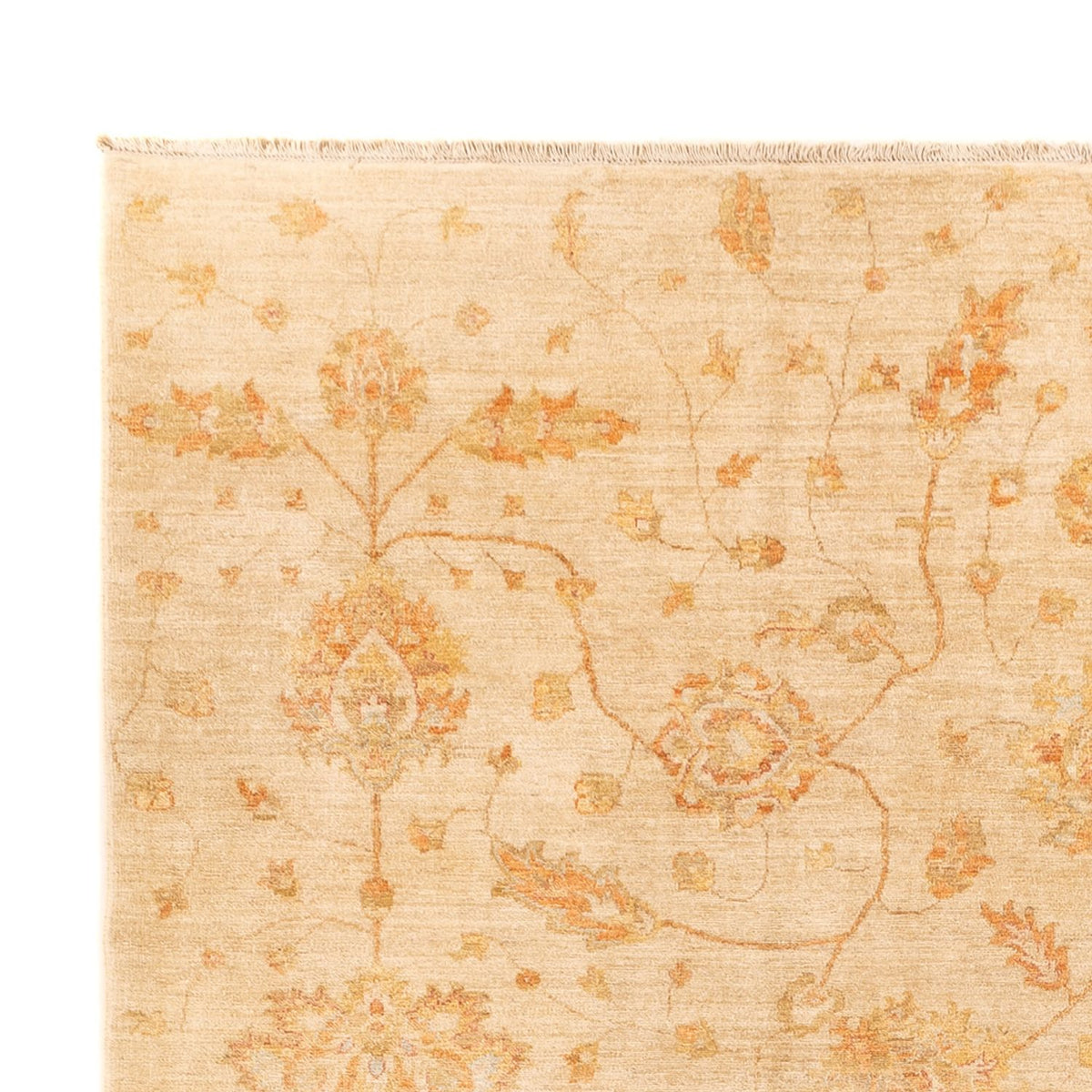 Ziegler Rug - 346 x 257 cm - beige