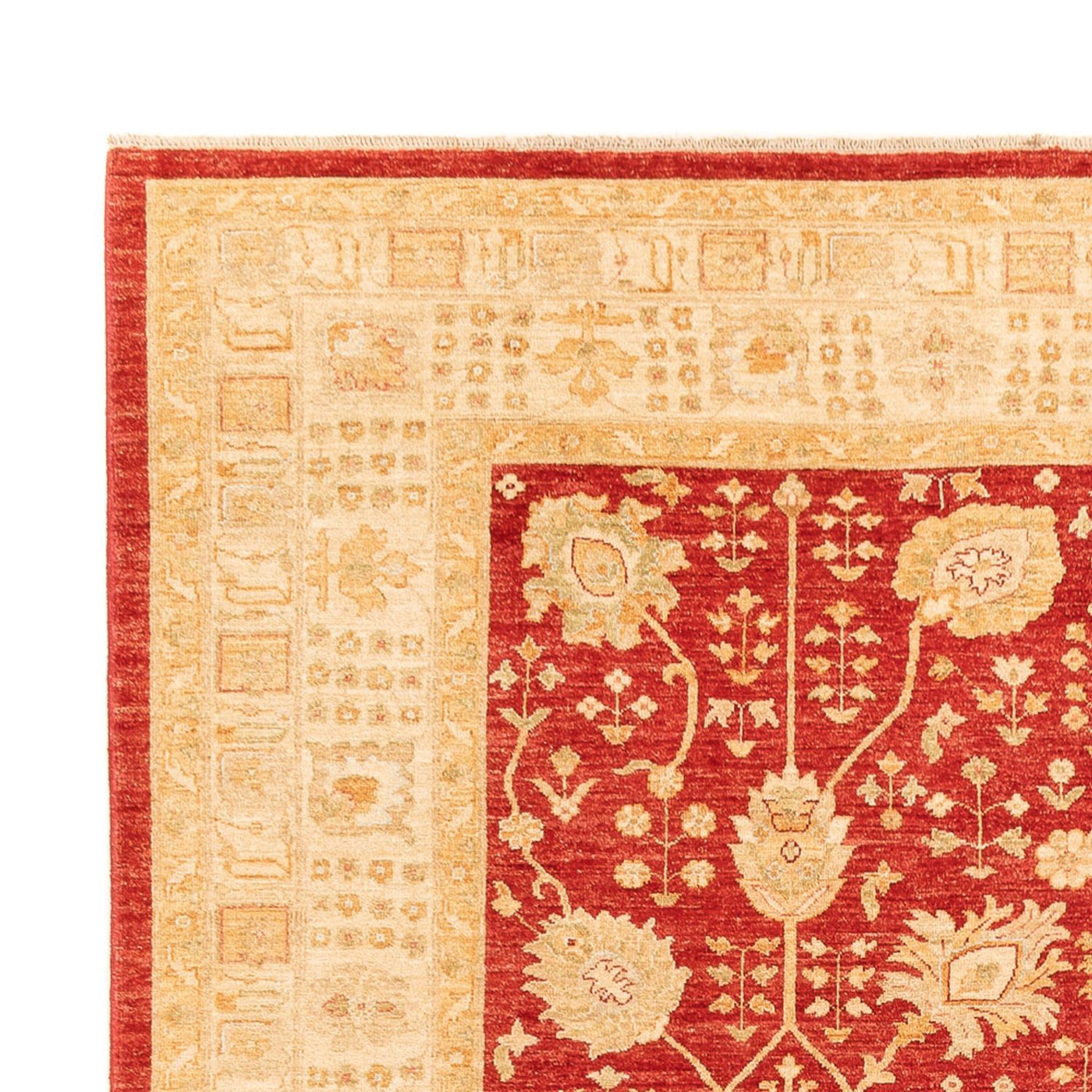 Ziegler Rug 340x254cm - Oriental Rug