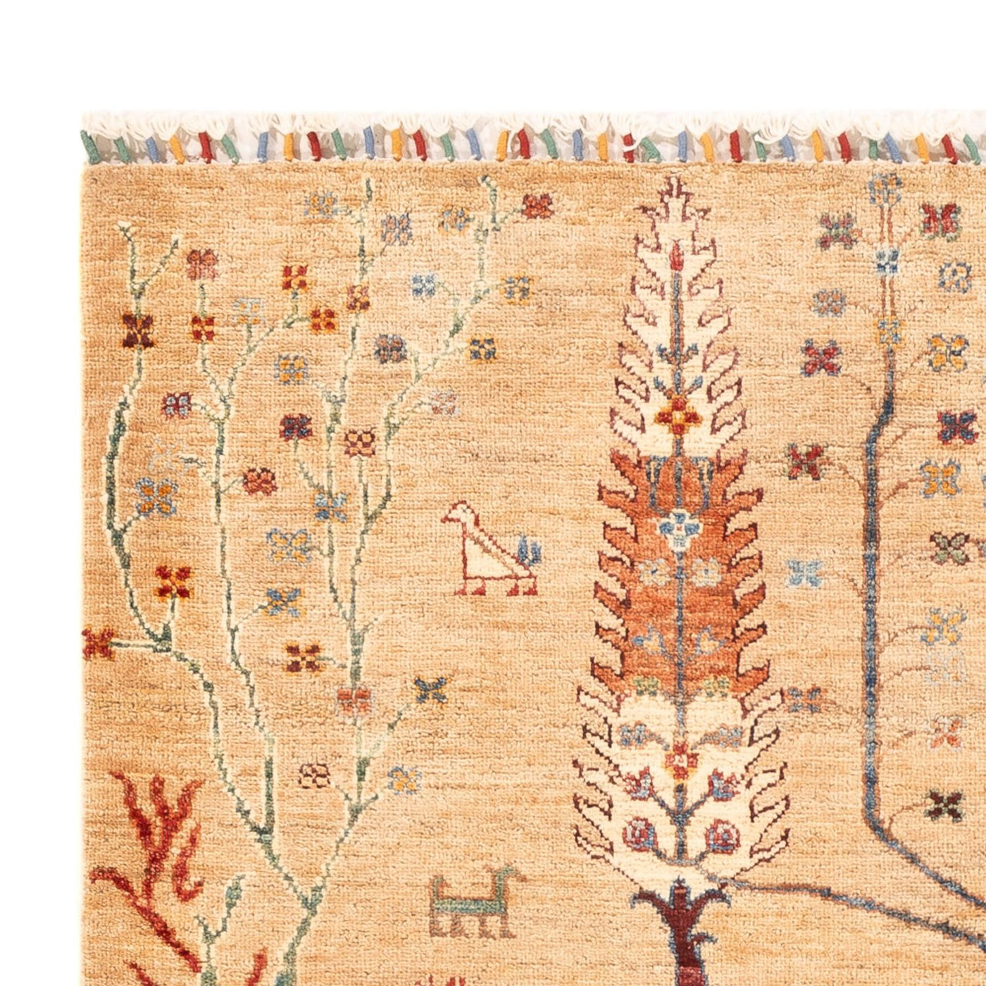 Ariana Rug 177x128cm - Oriental Rug