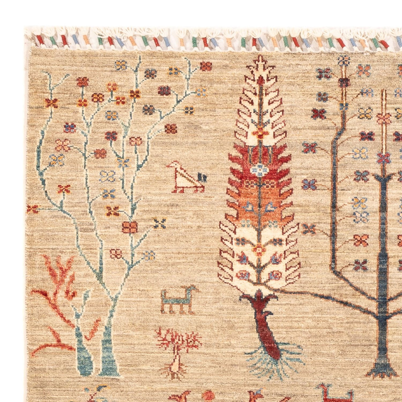 Ariana Rug 178x122cm - Oriental Rug