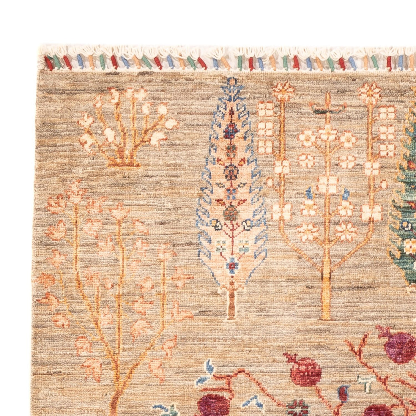 Ariana Rug 177x122cm - Oriental Rug