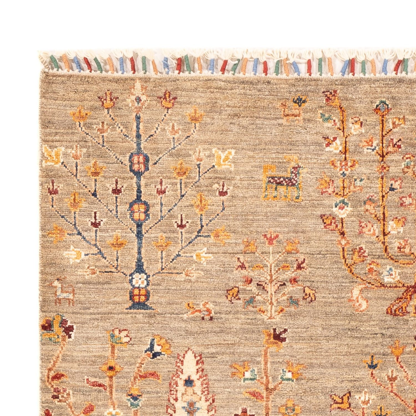 Ariana Rug 172x117cm - Oriental Rug
