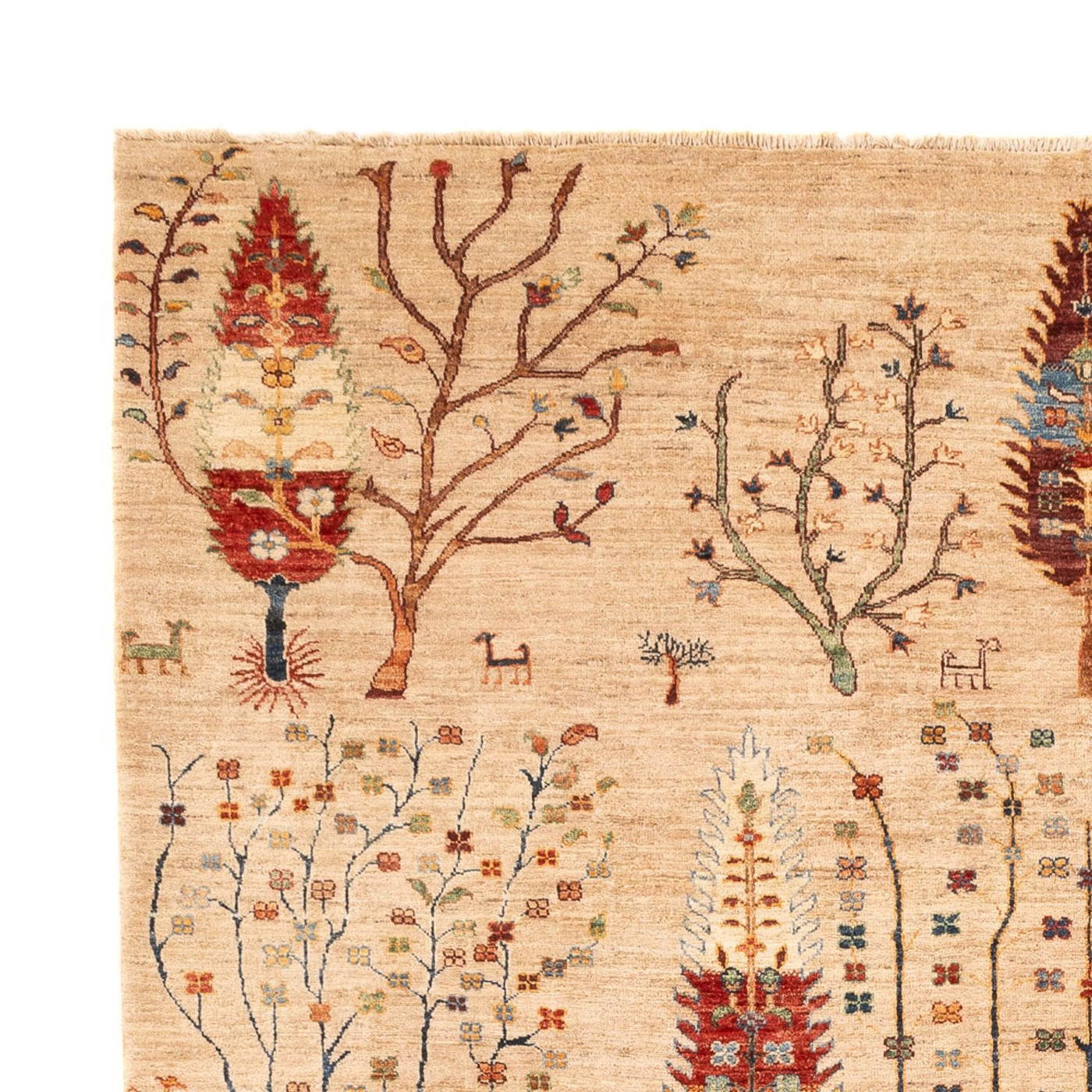 Ziegler Rug - Ariana - 312 x 212 cm - multicolored