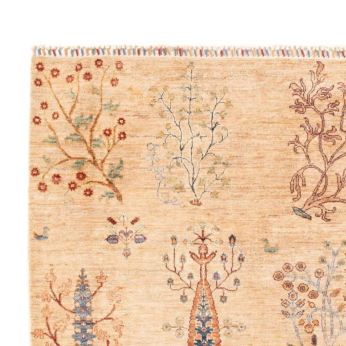 Ariana Rug 206x293cm - Oriental Rug