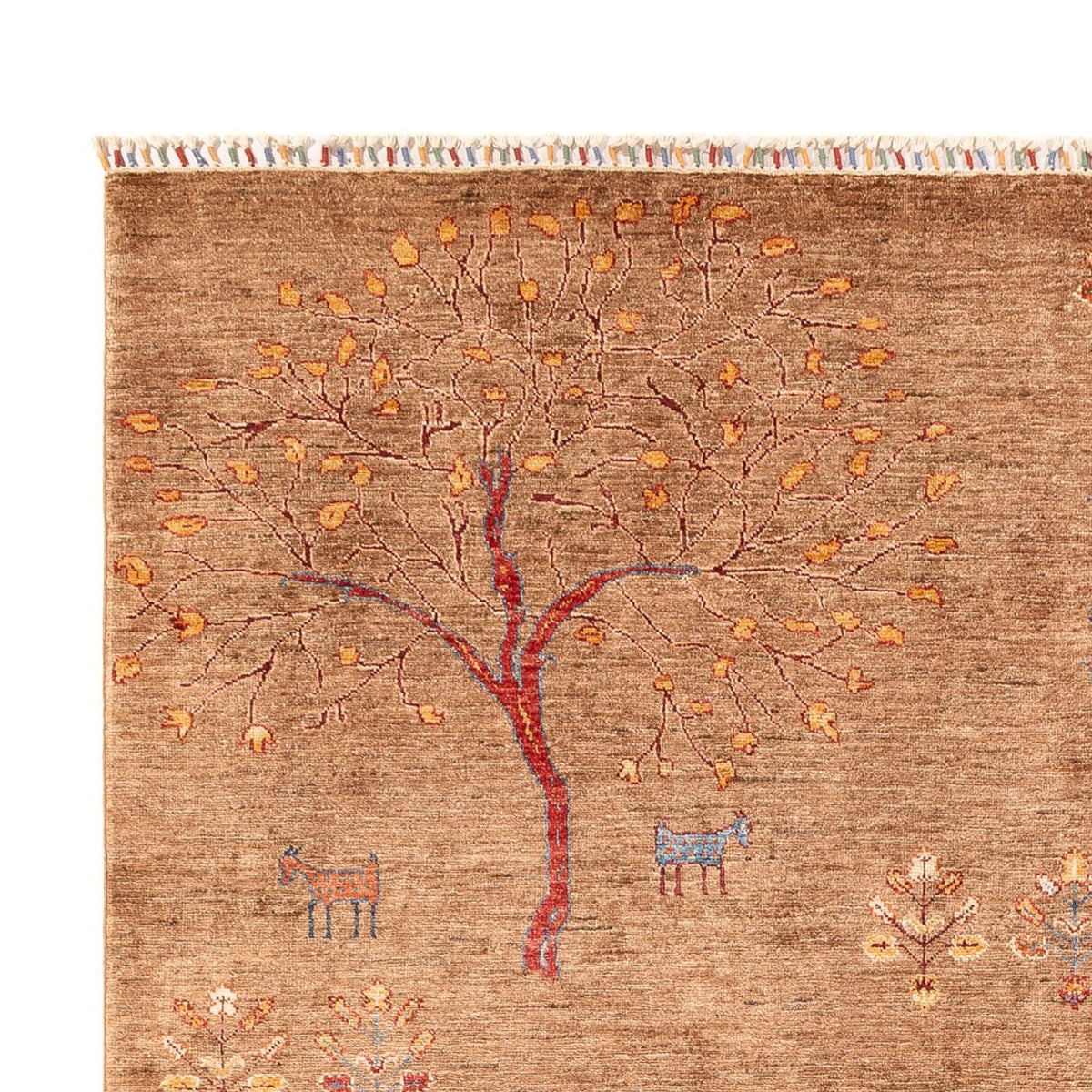 Ziegler Rug - Ariana - 298 x 206 cm - dark beige