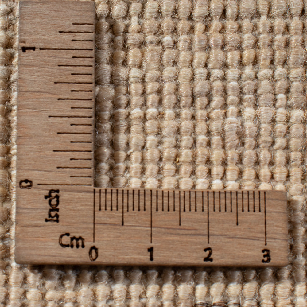 Ziegler Rug - Ariana - 295 x 200 cm - light beige