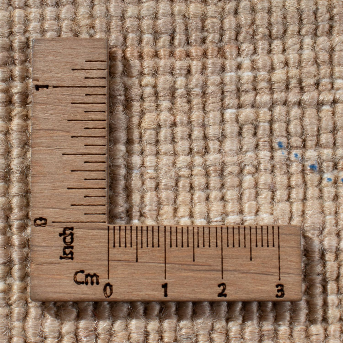 Ziegler Rug - Ariana - 290 x 204 cm - light beige