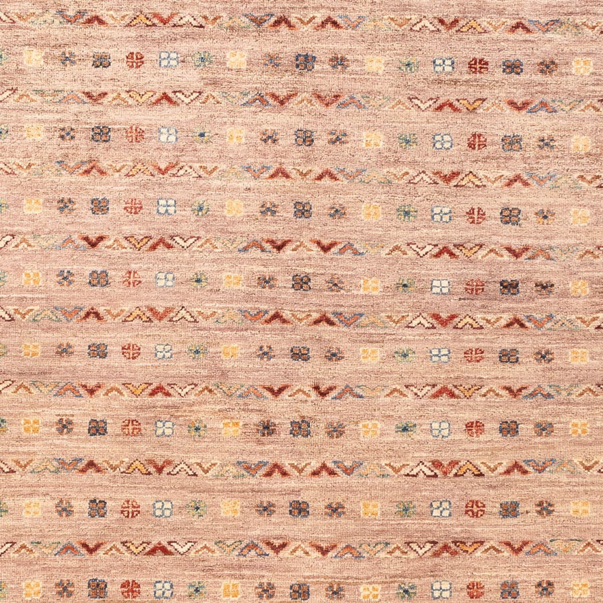 Ziegler Rug - Shal - 205 x 151 cm - rose