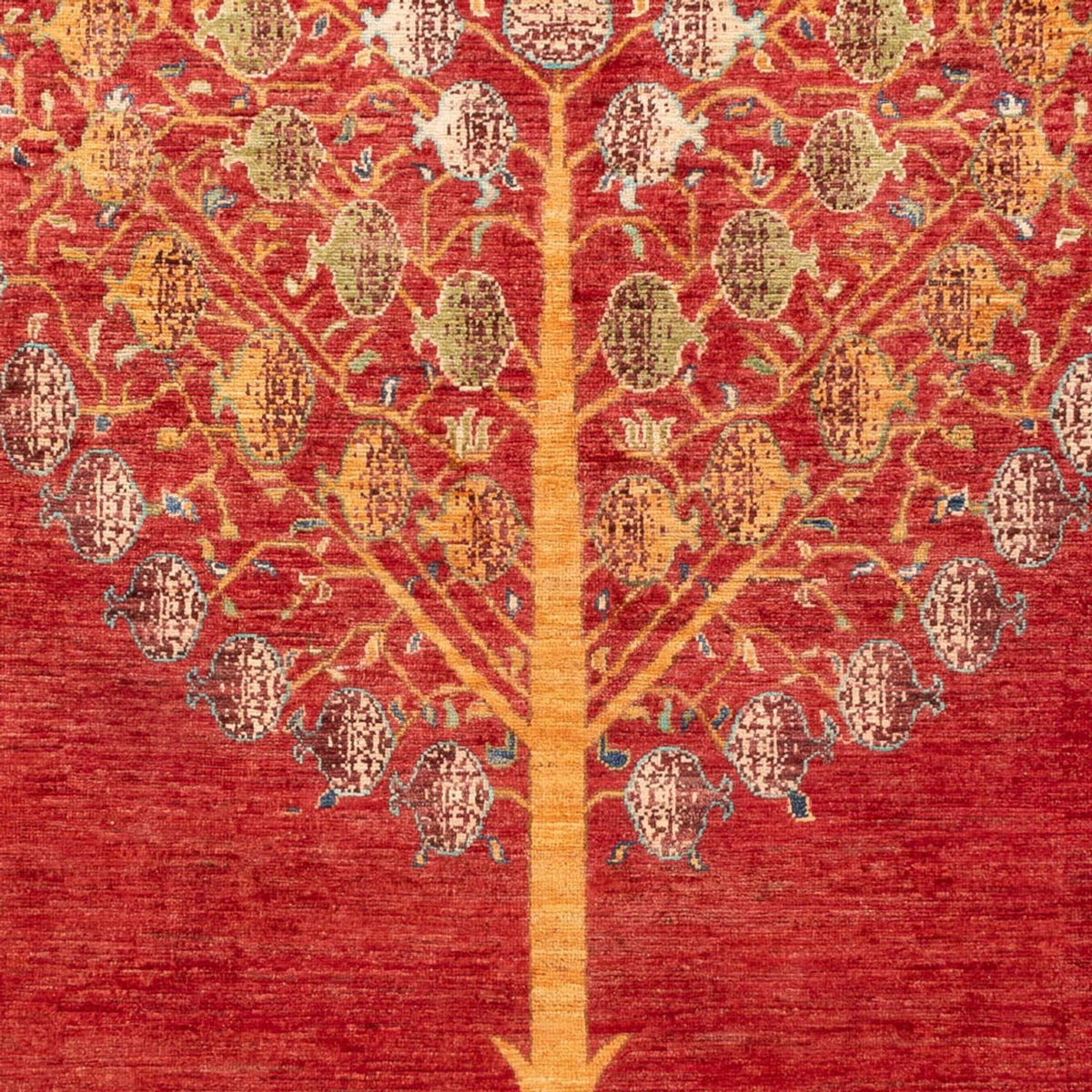 Ziegler Rug - Ariana - 254 x 172 cm - red