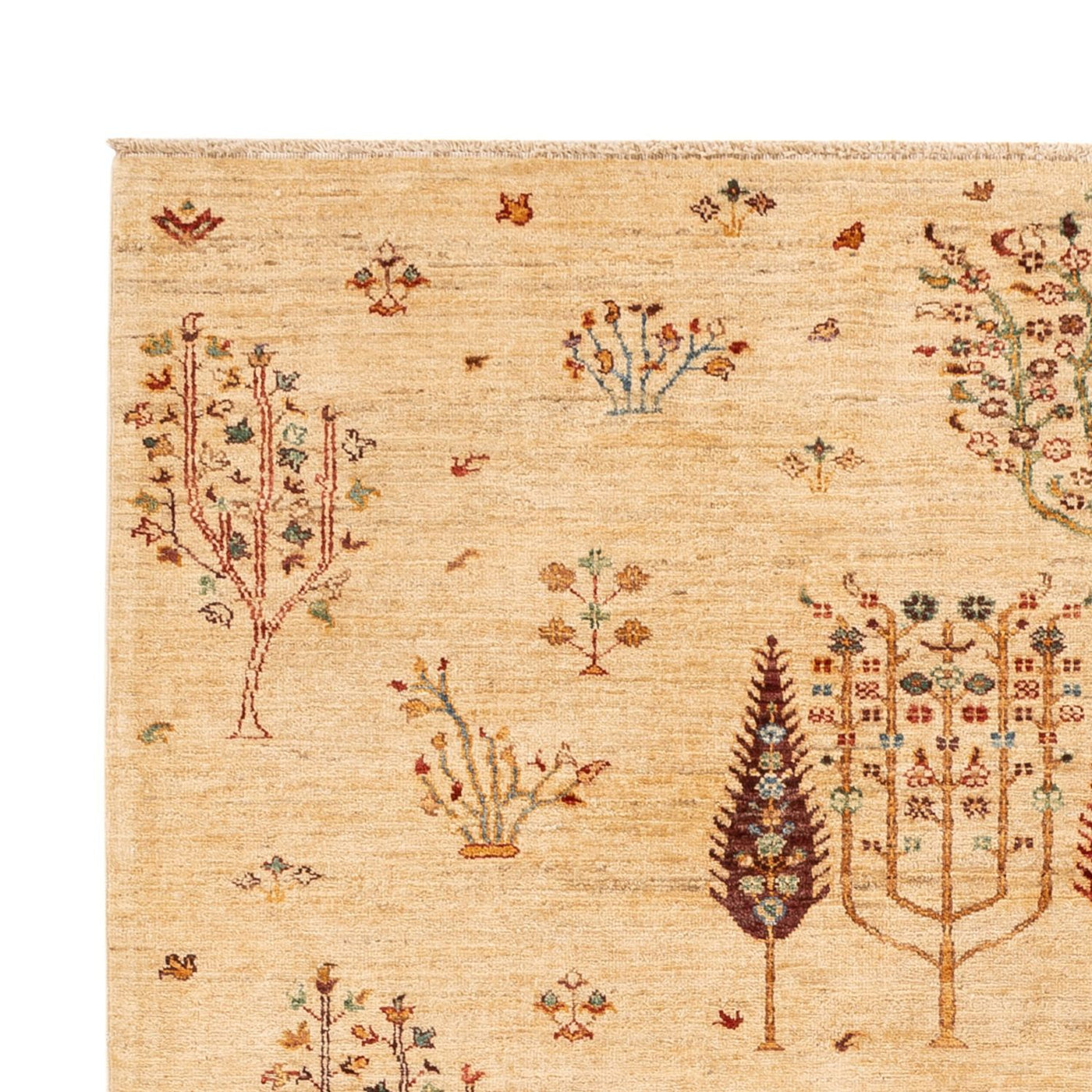 Ariana Rug 244x173cm - Oriental Rug
