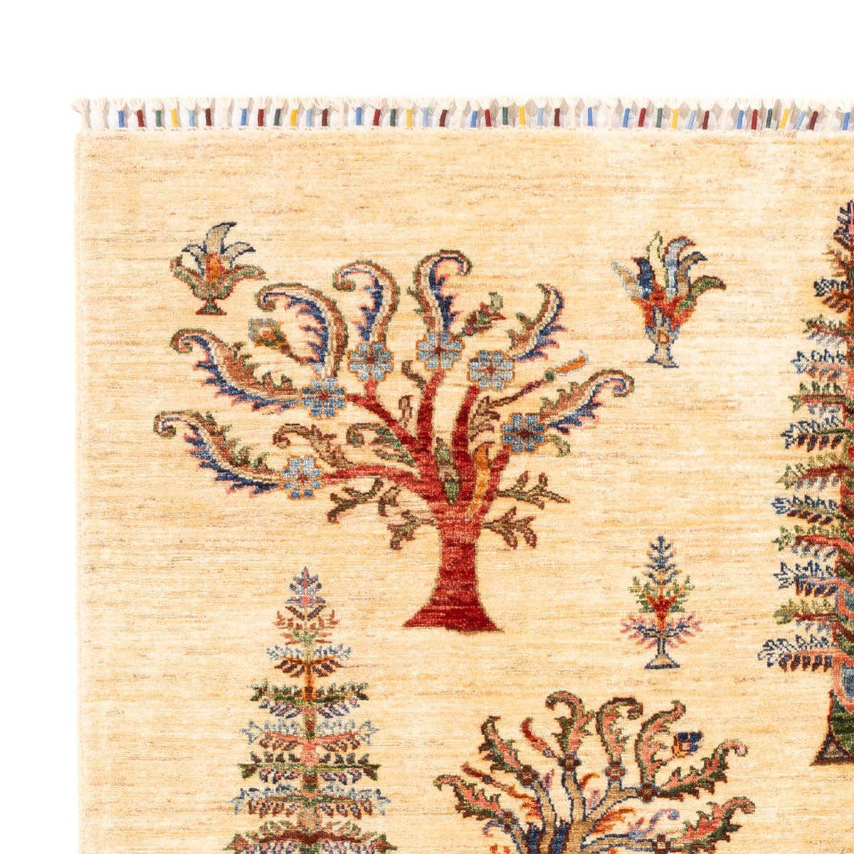Ariana Rug 173x238cm - Oriental Rug