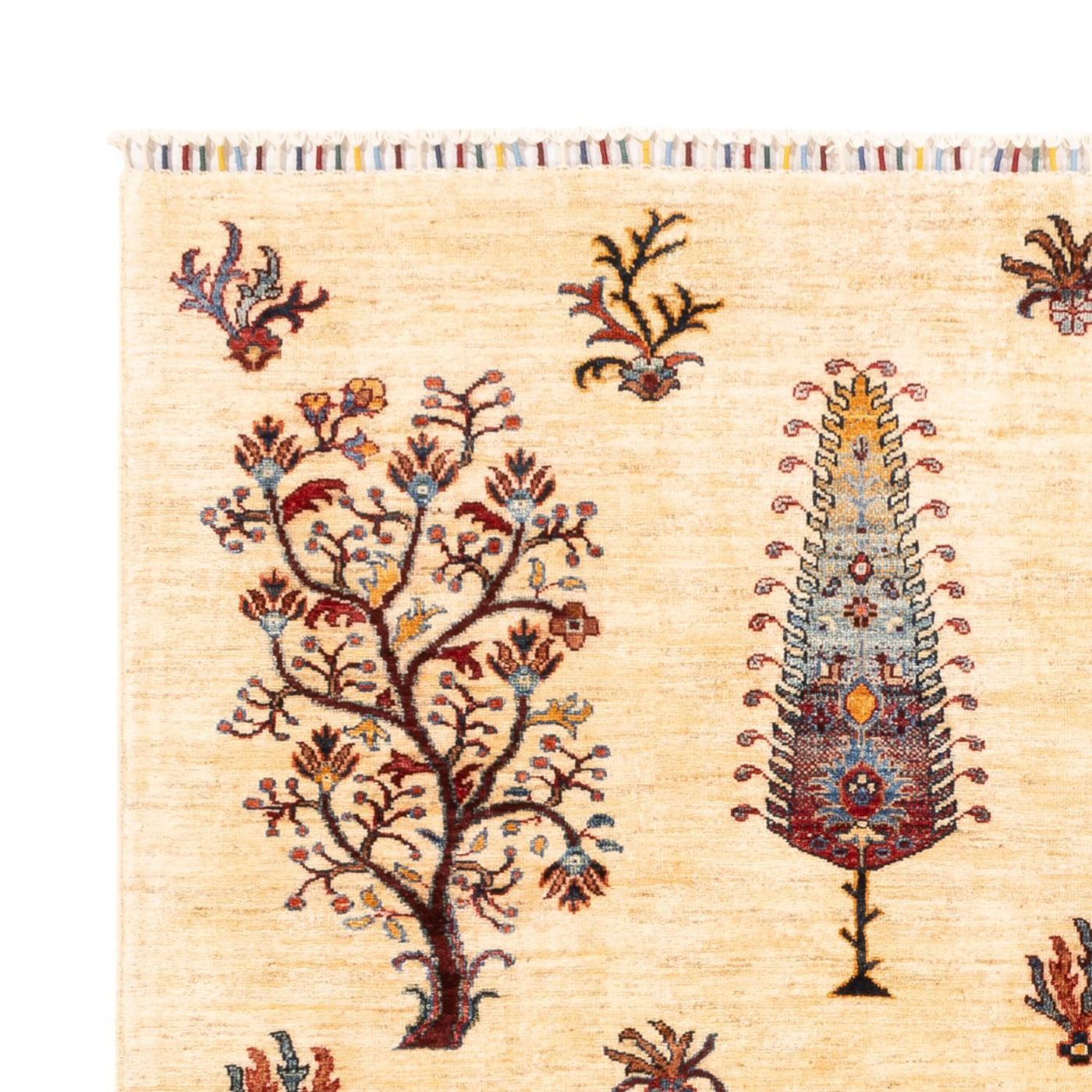 Ariana Rug 218x170cm - Oriental Rug