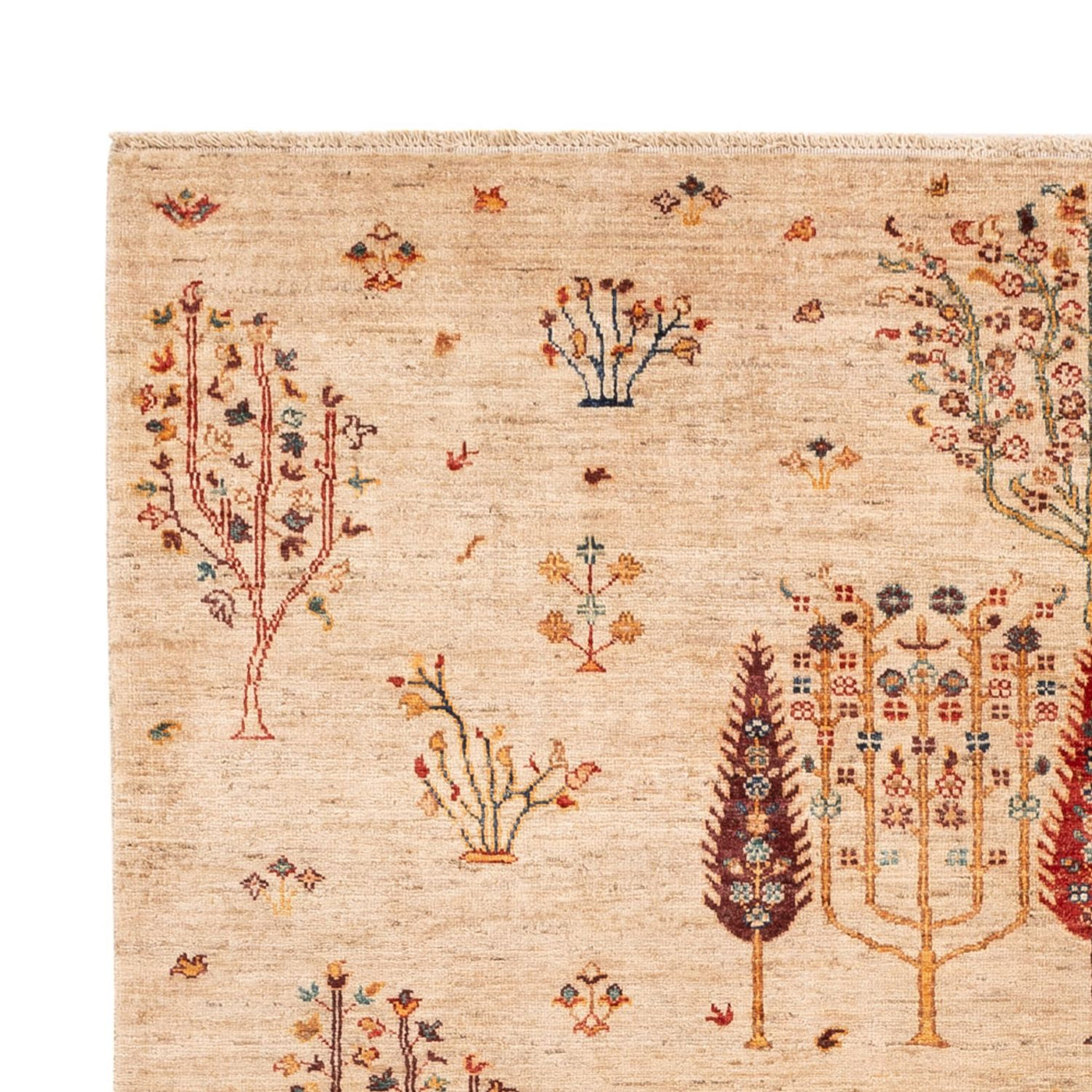 Ziegler Rug - Ariana - 246 x 171 cm - light beige