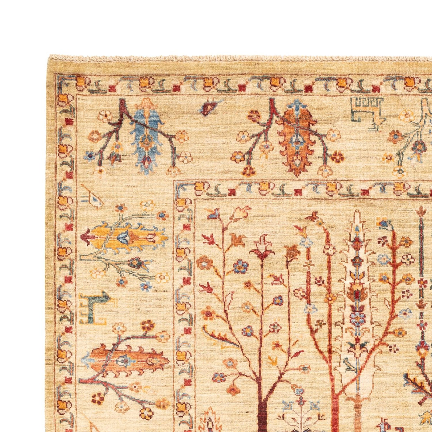 Ariana Rug 240x175cm - Oriental Rug