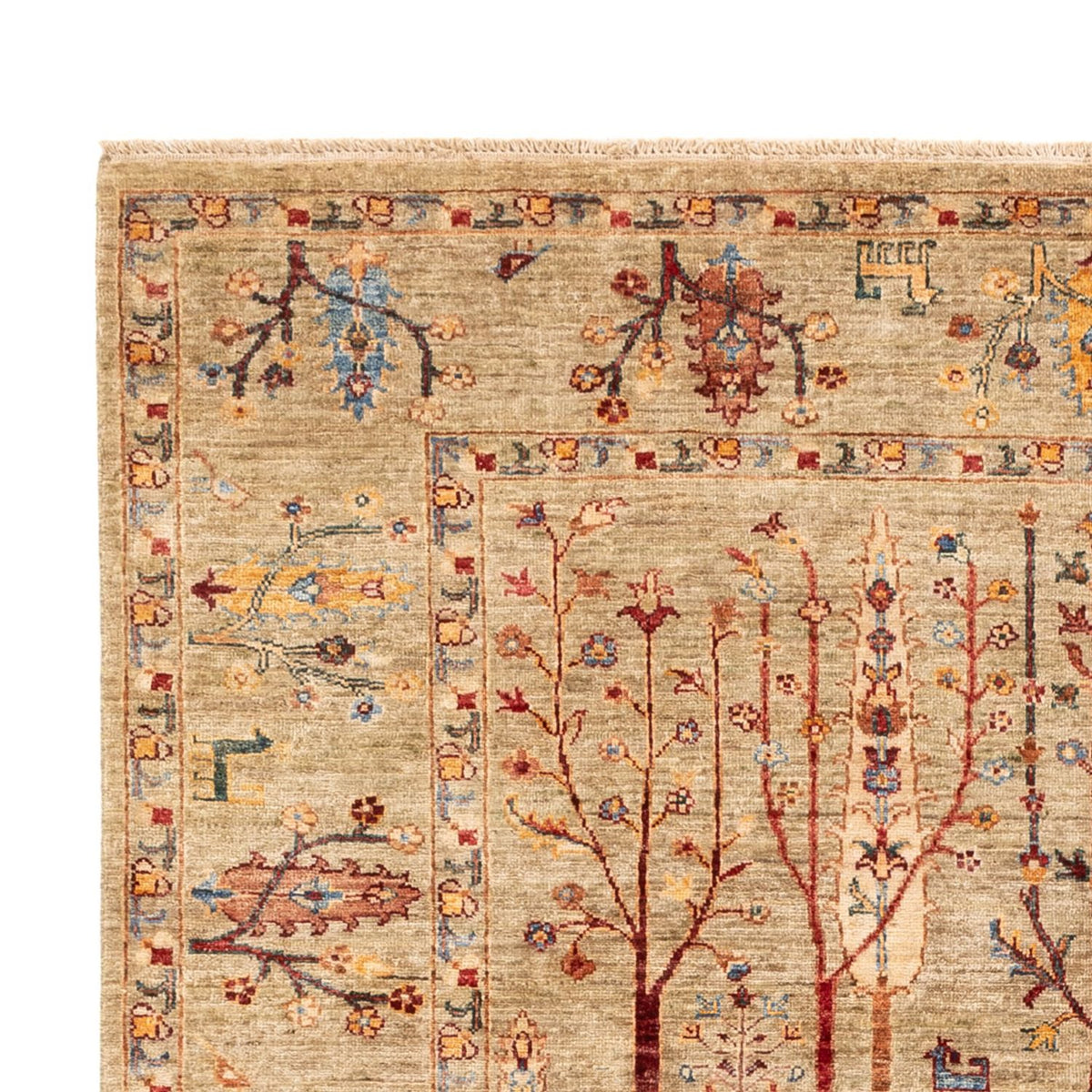 Ziegler Rug - Ariana - 243 x 175 cm - sand