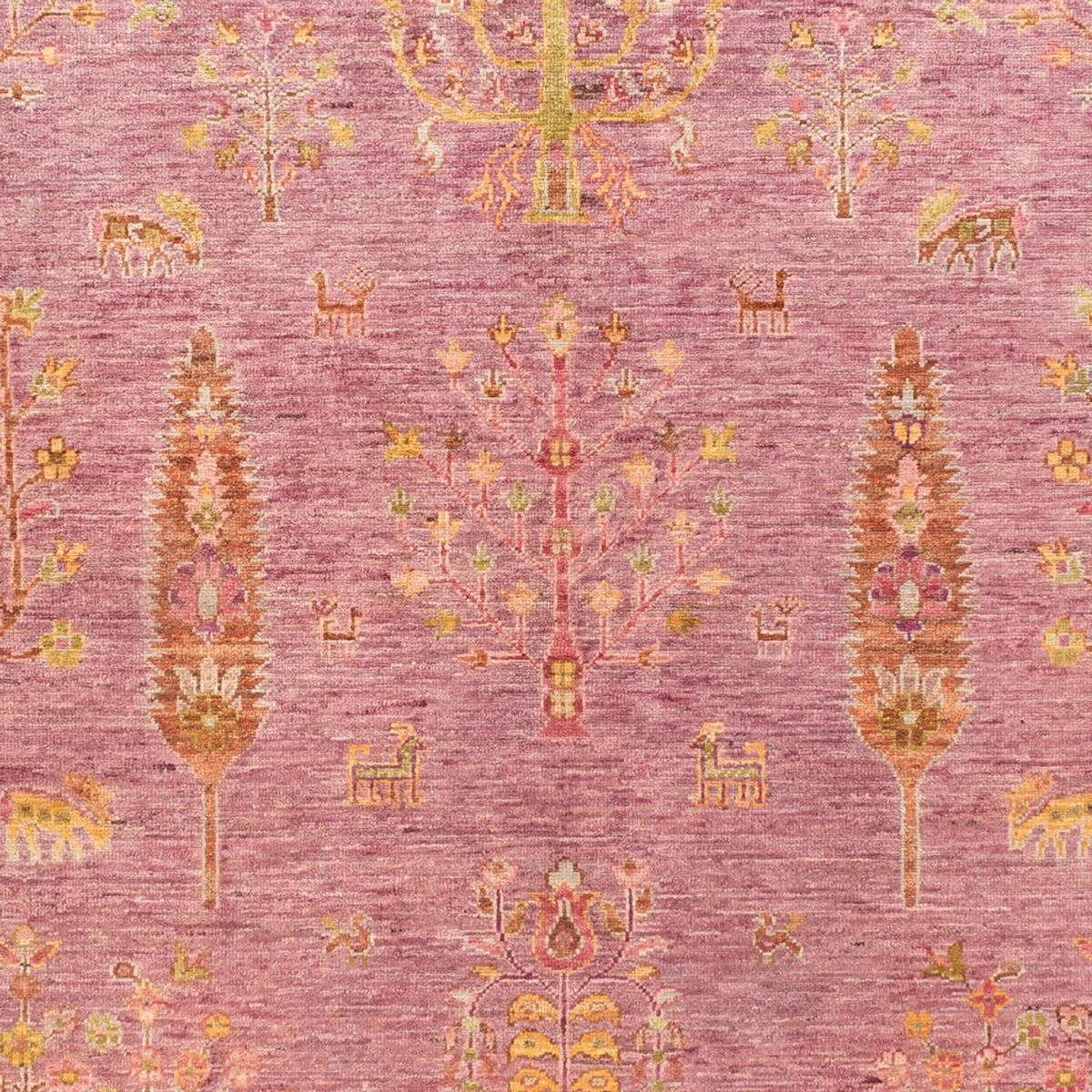 Ziegler Rug - Ariana - 250 x 175 cm - rose