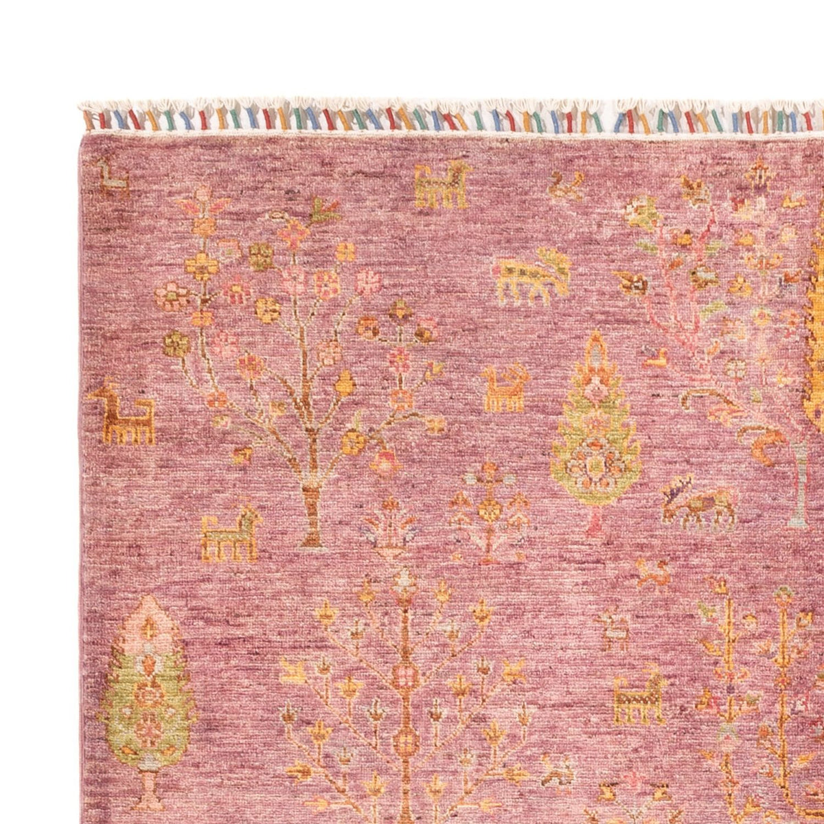 Ziegler Rug - Ariana - 240 x 177 cm - rose