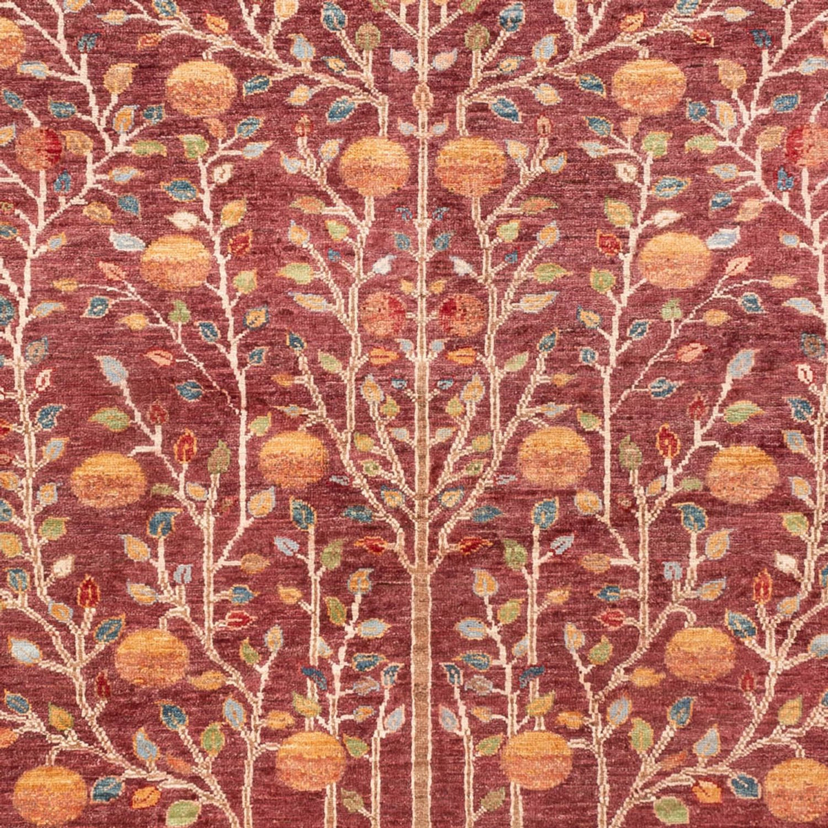 Ziegler Rug - Ariana - 237 x 175 cm - bordeaux red