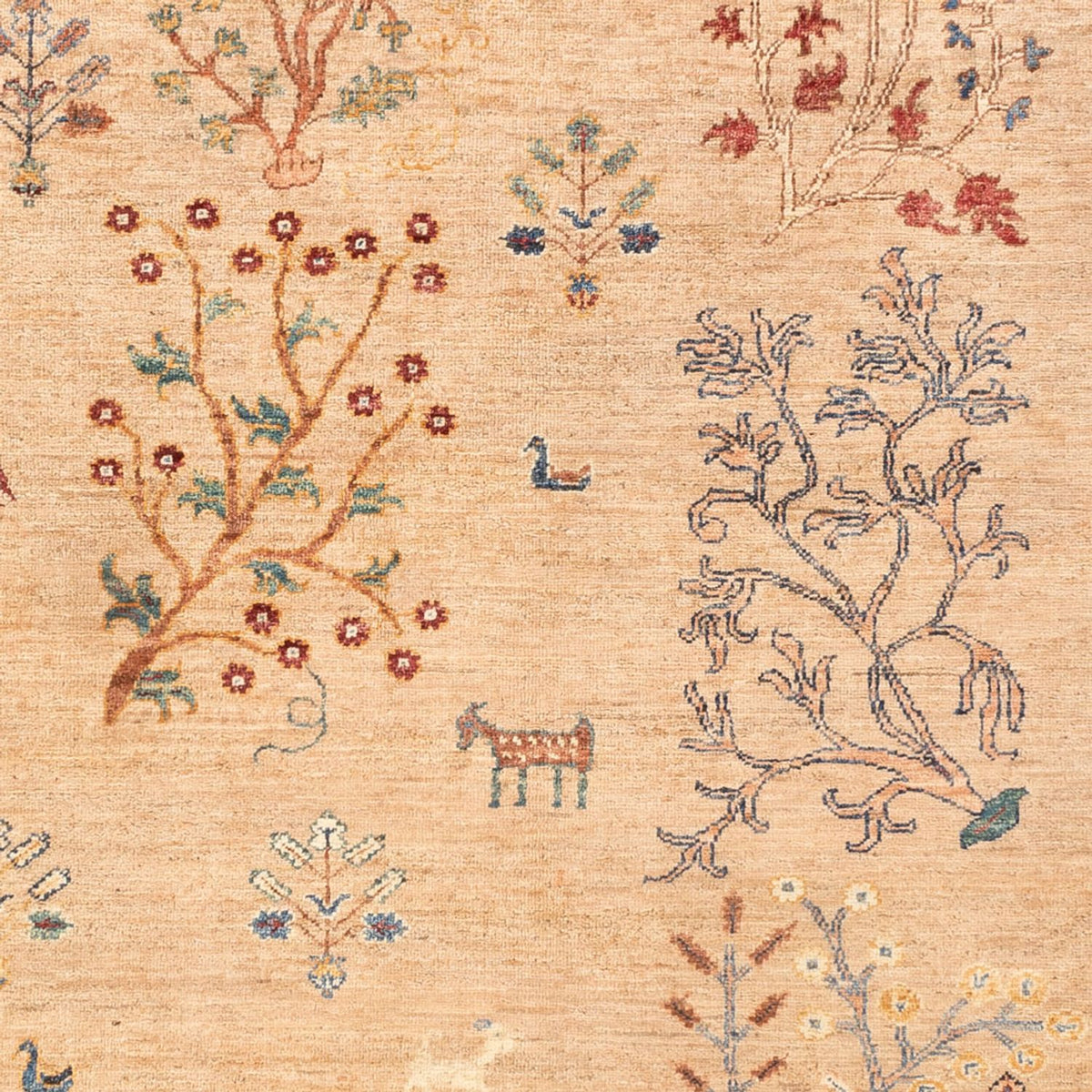 Ziegler Rug - Ariana - 241 x 171 cm - light beige