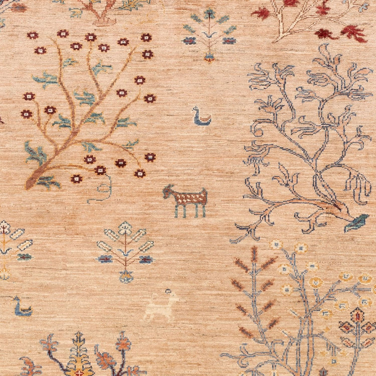Ziegler Rug - Ariana - 229 x 171 cm - light brown
