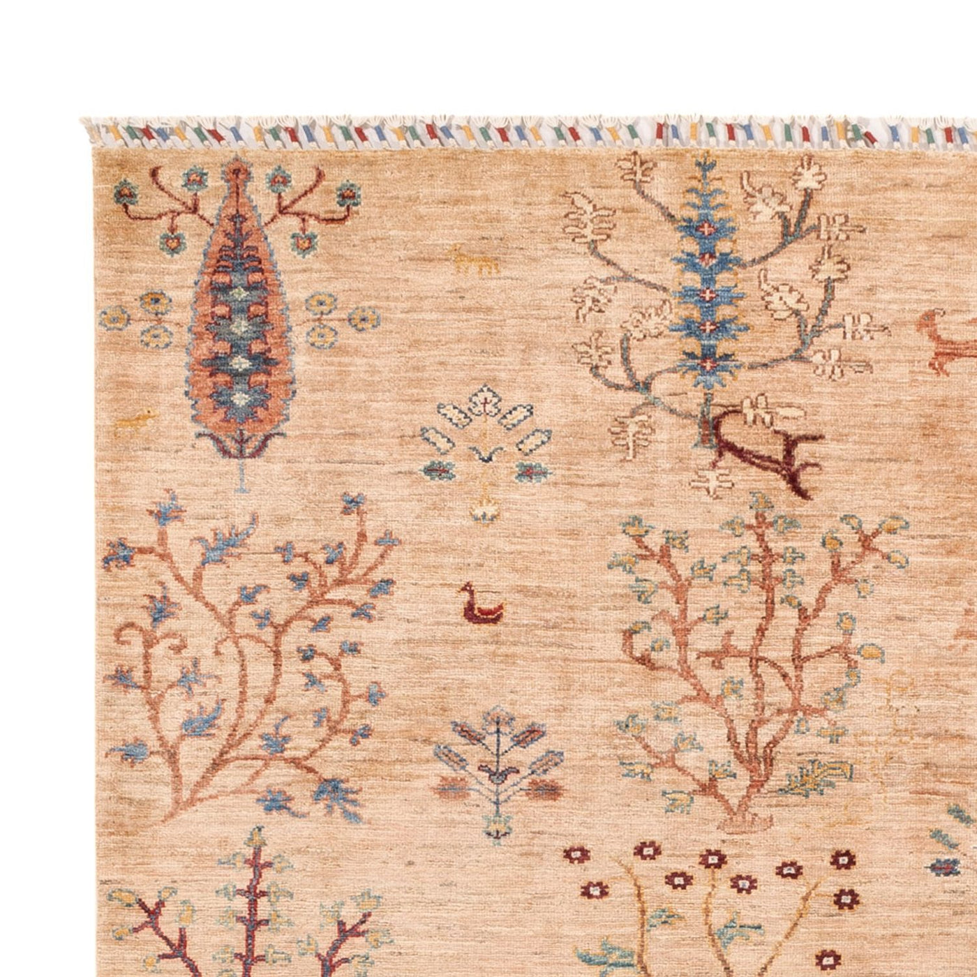 Ariana Rug 229x171cm - Oriental Rug