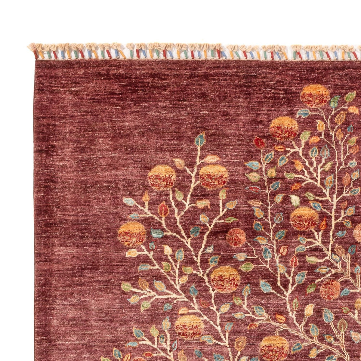 Ariana Rug 174x243cm - Oriental Rug
