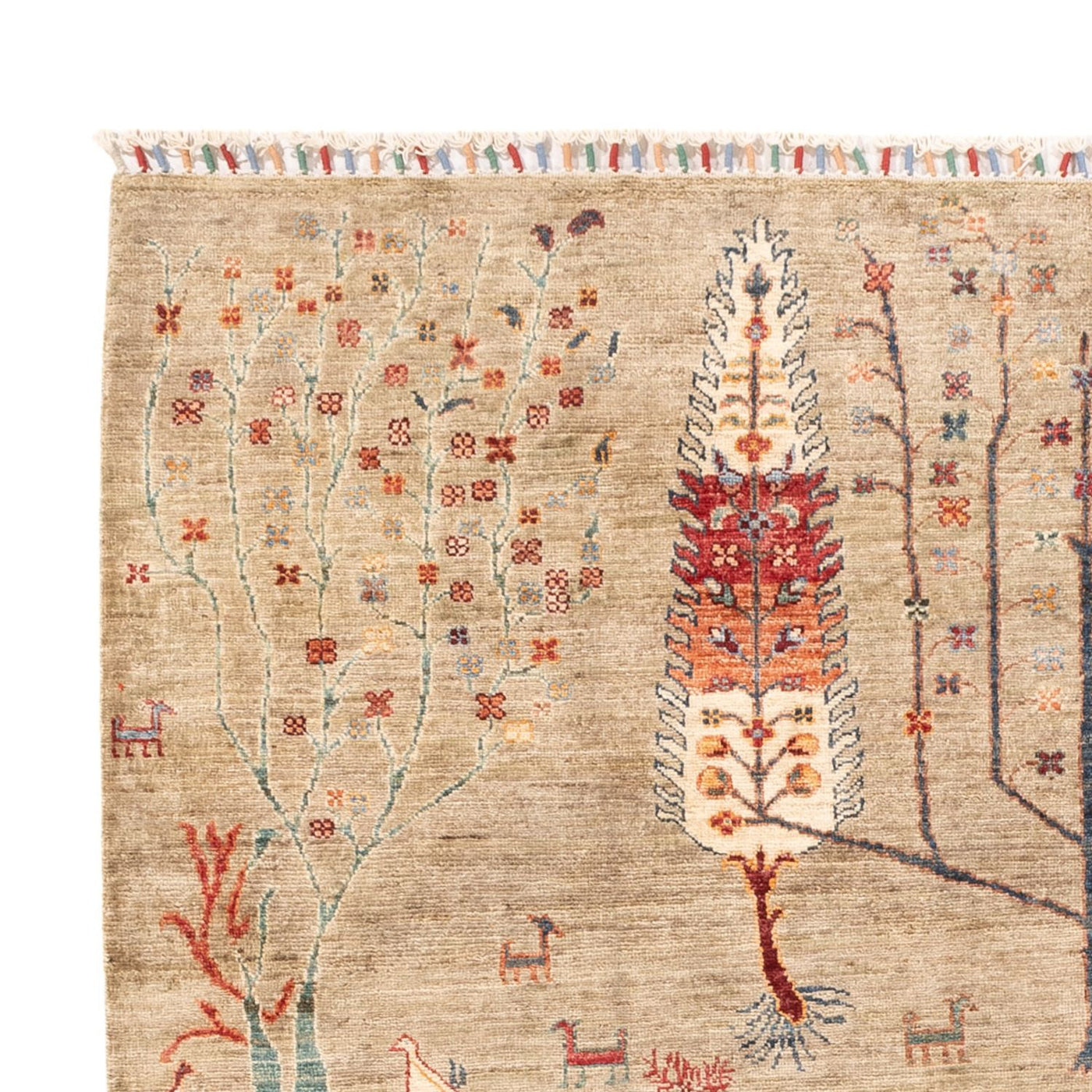 Ariana Rug 237x172cm - Oriental Rug