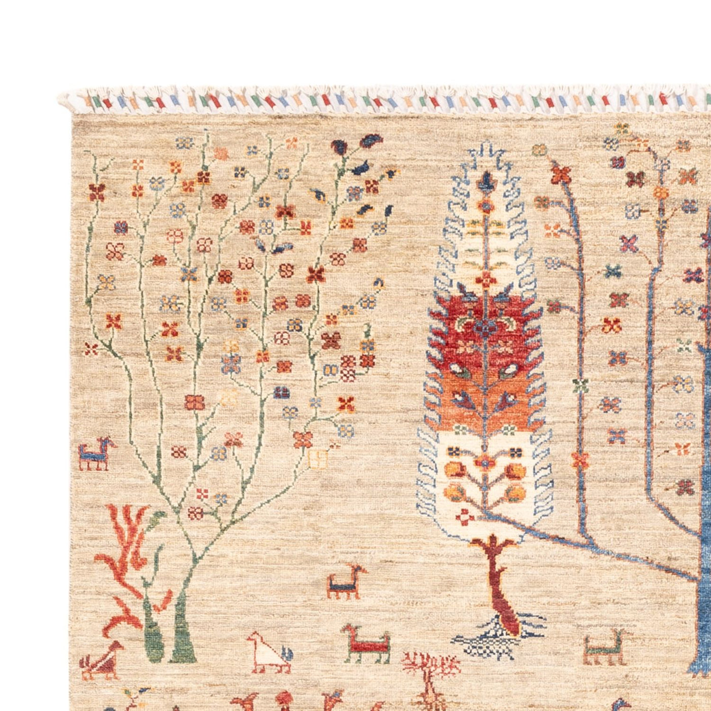 Ariana Rug 232x168cm - Oriental Rug