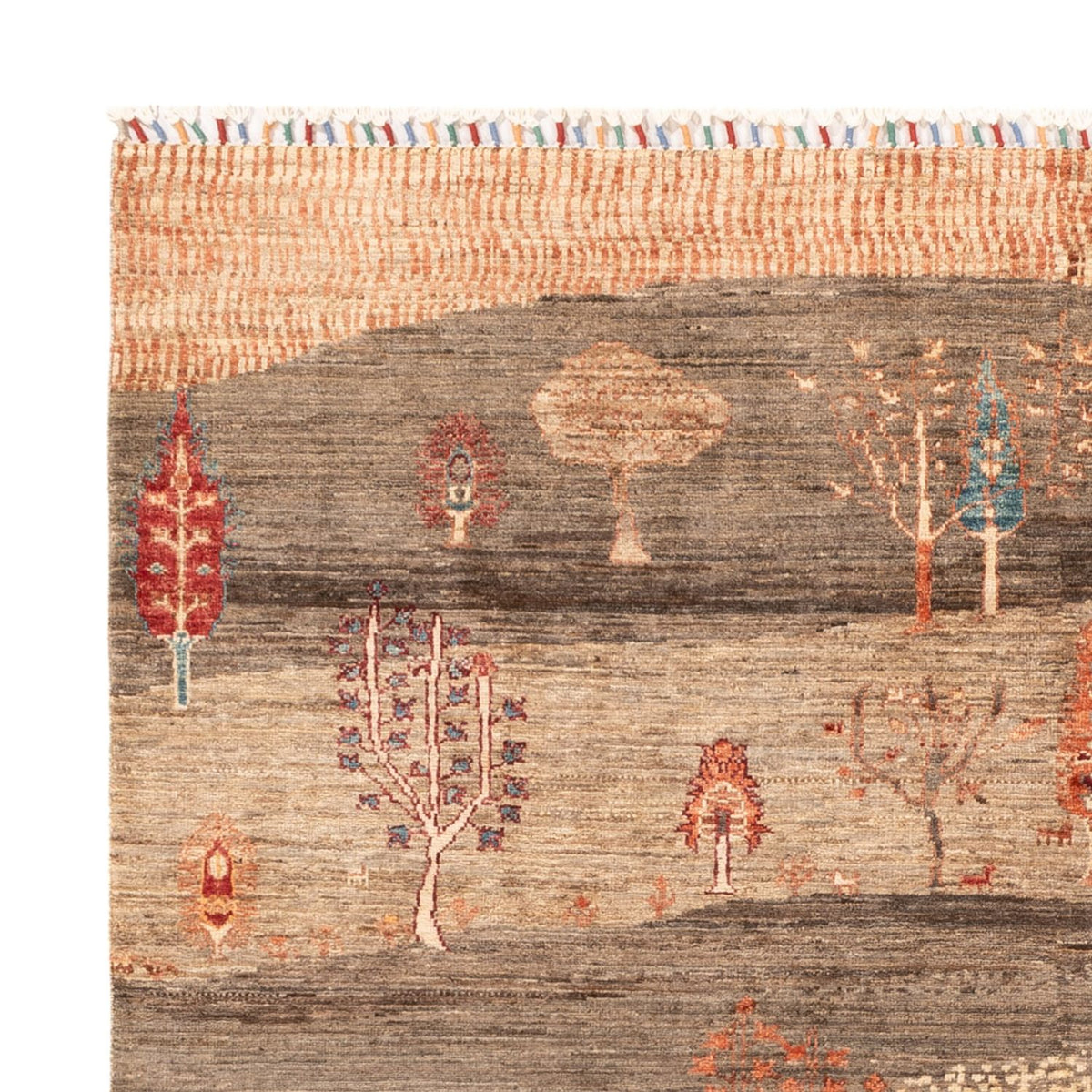 Ziegler Rug - Ariana - 215 x 171 cm - dark beige