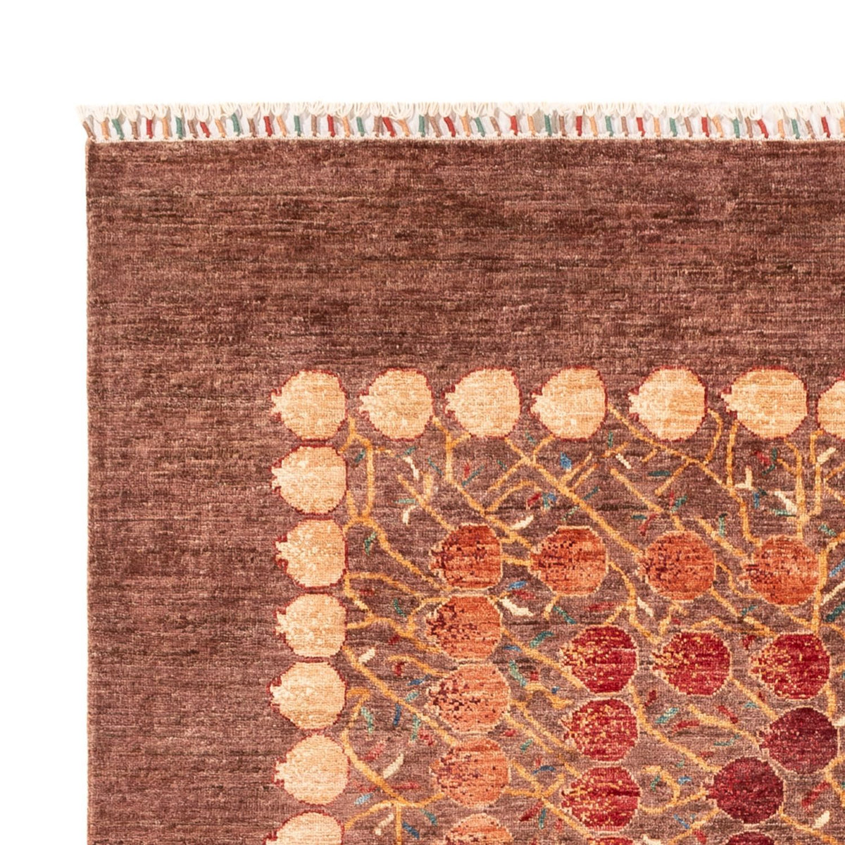 Ziegler Rug - Ariana - 235 x 171 cm - rust