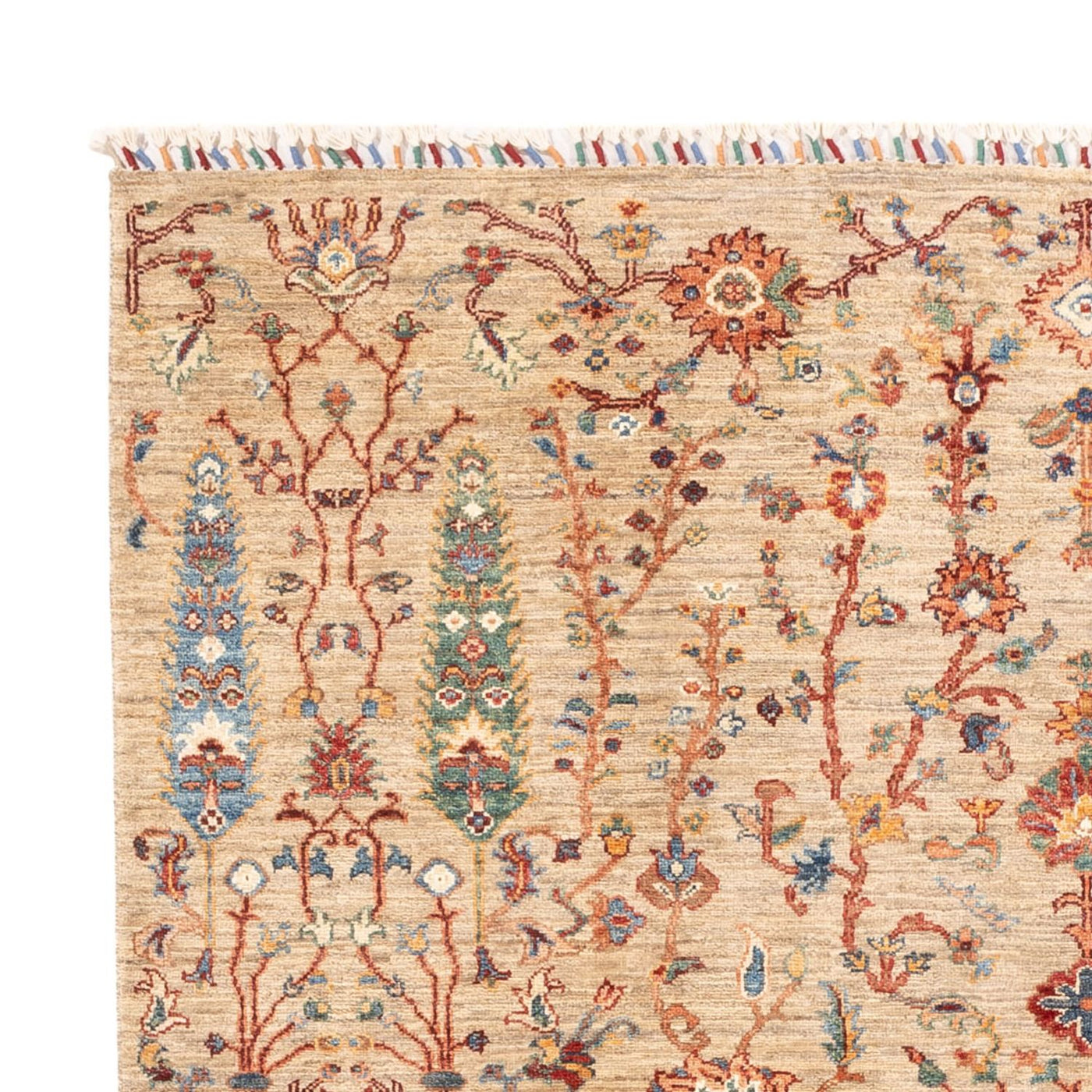 Ariana Rug 233x168cm - Oriental Rug