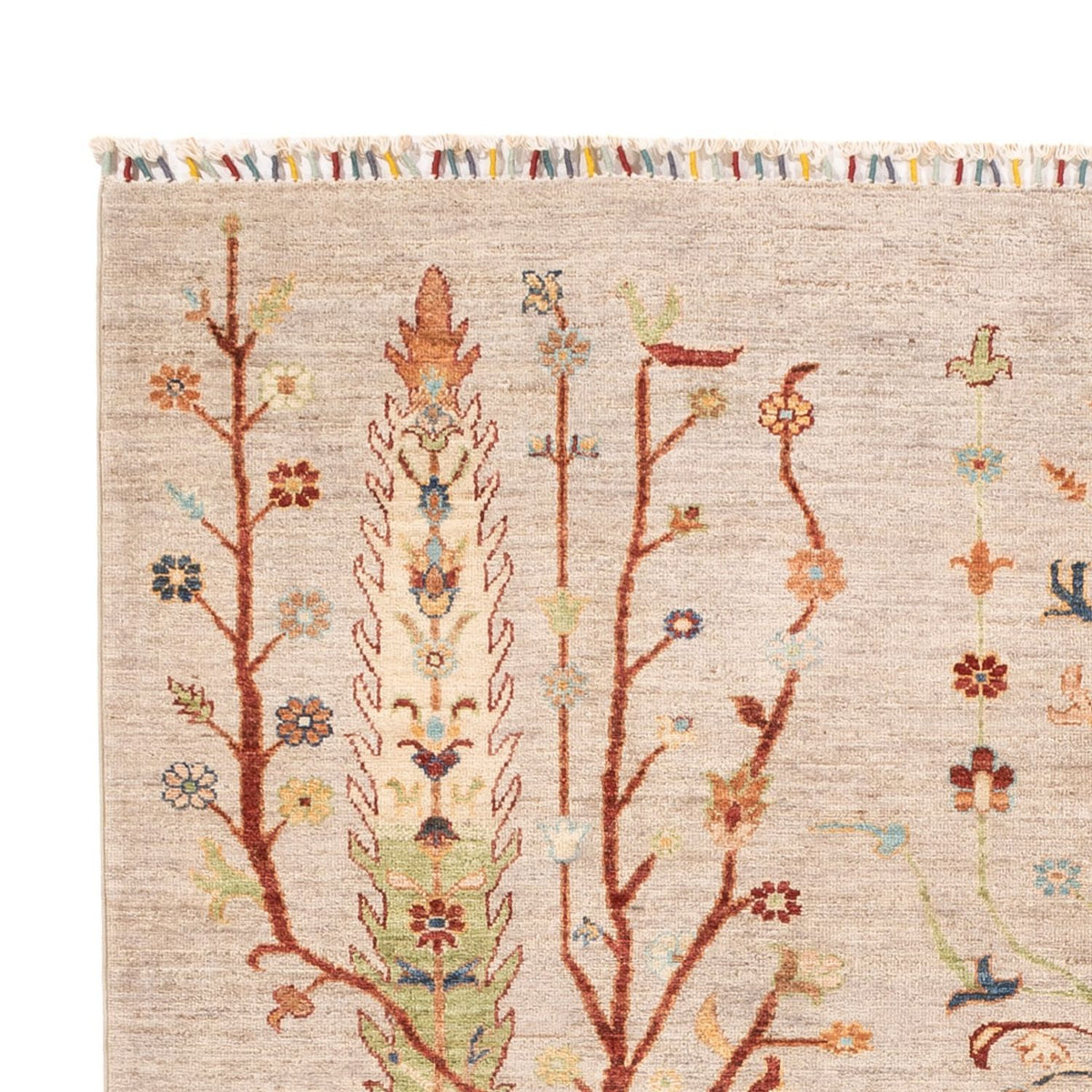 Ziegler Rug - Ariana - 239 x 167 cm - cream