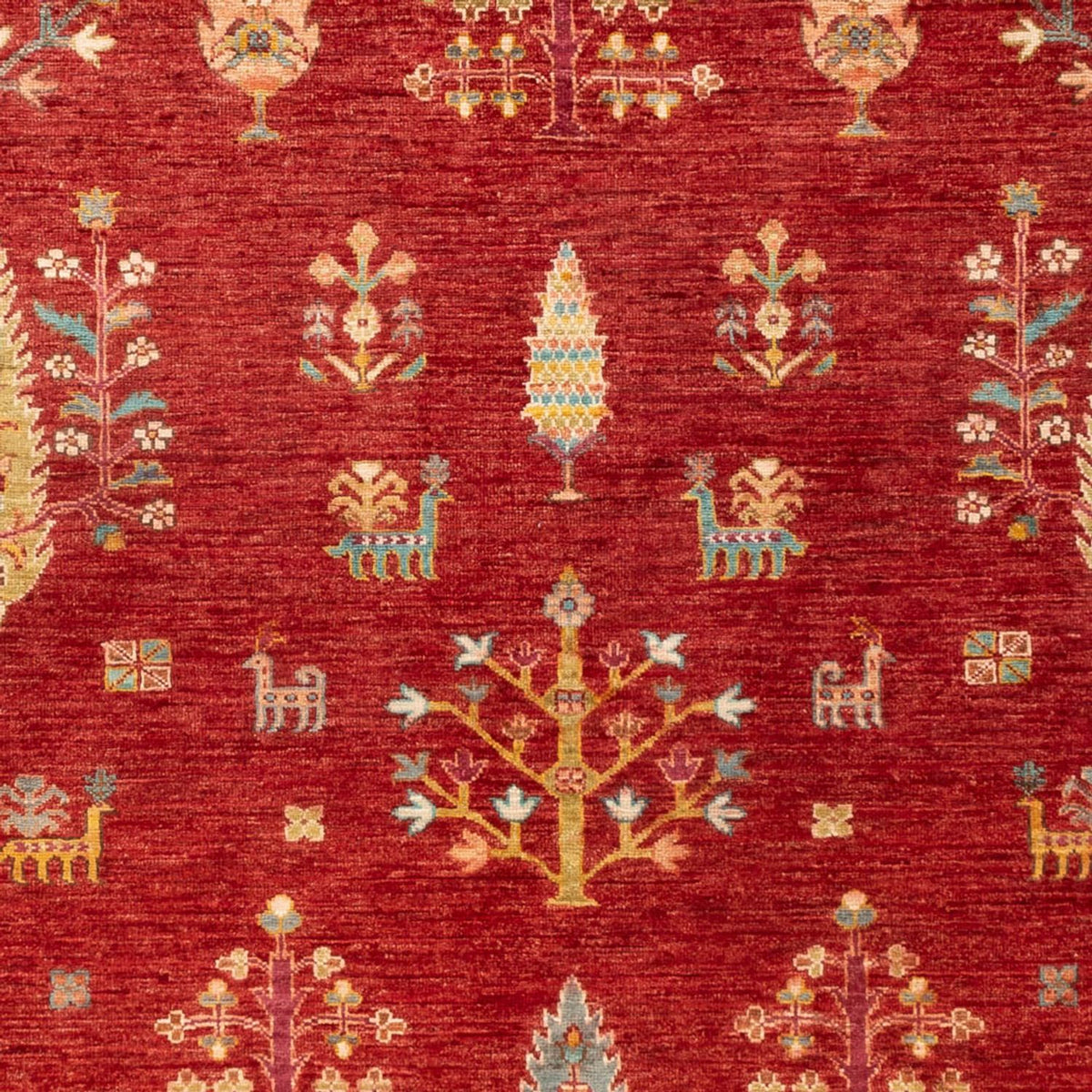 Ziegler Rug - Ariana - 242 x 168 cm - red