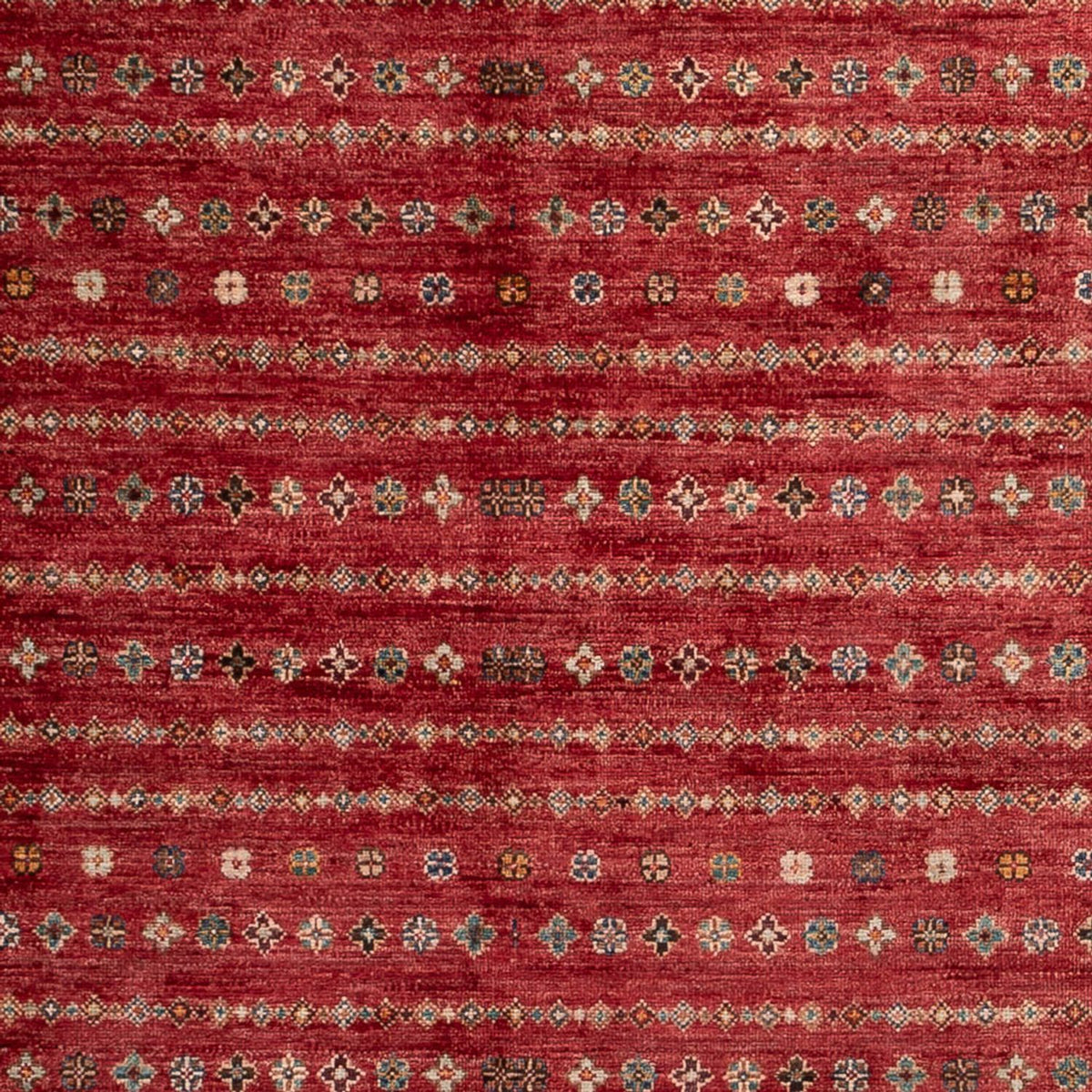 Ziegler Rug - Shal - 268 x 183 cm - red