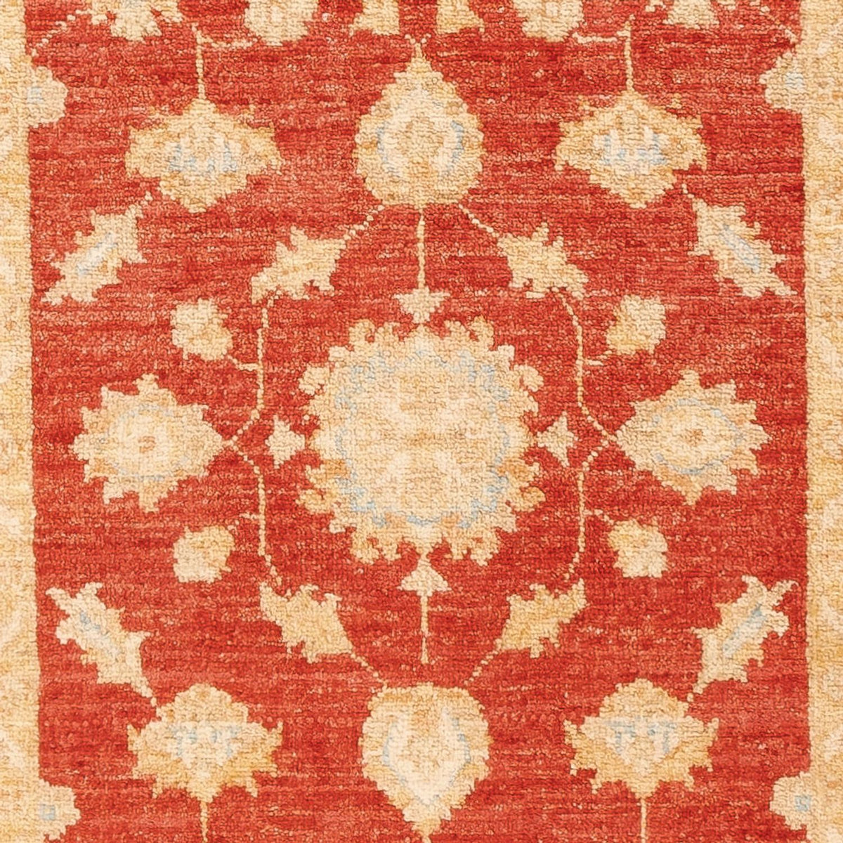 Runner Ziegler Rug - 199 x 76 cm - red