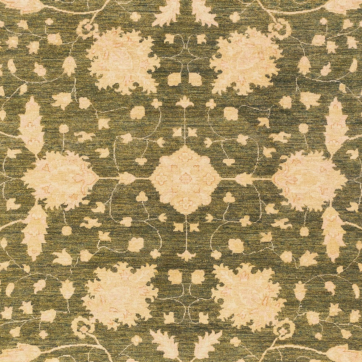 Ziegler Rug - 404 x 307 cm - olive green