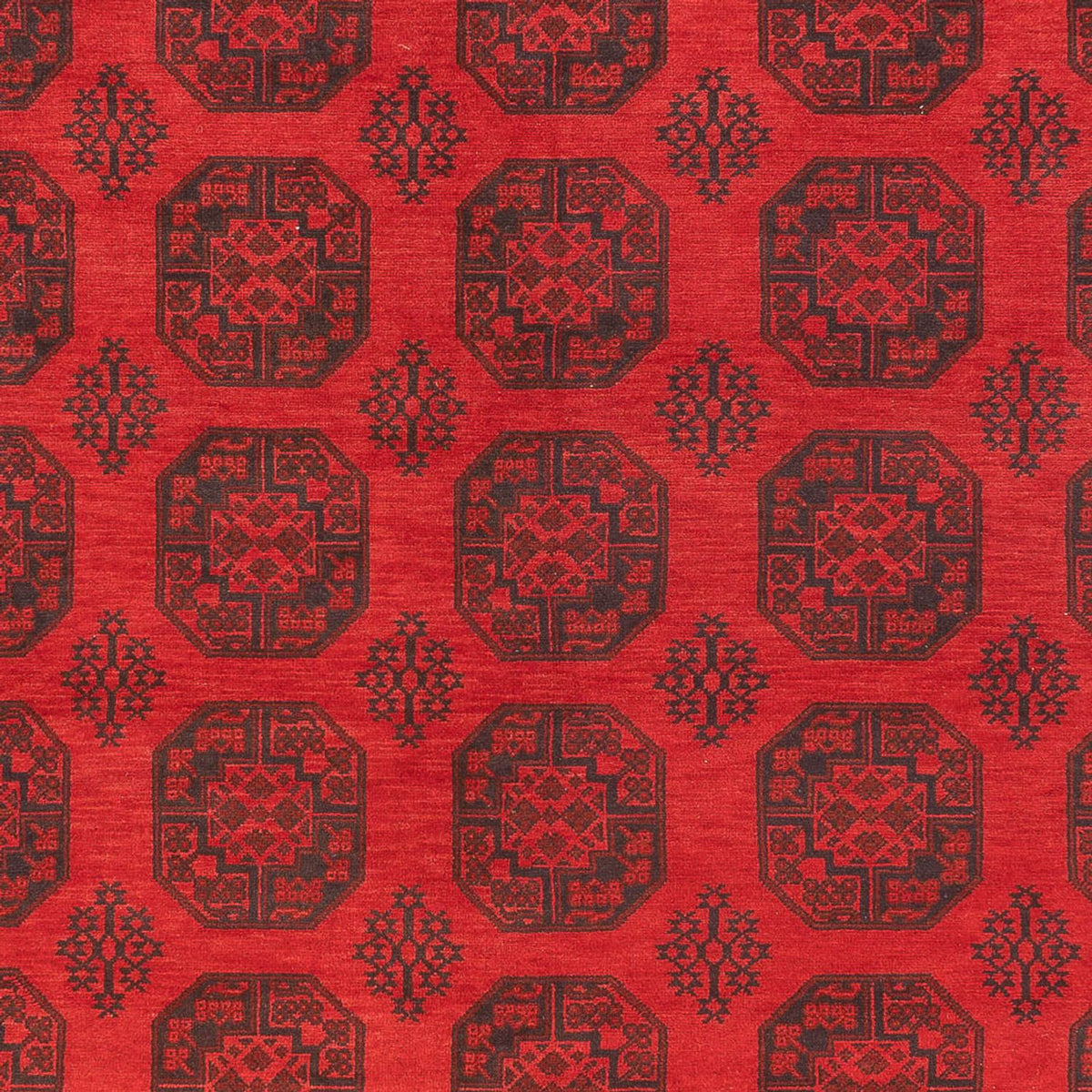 Afghan Rug - Filpa - 401 x 309 cm - red