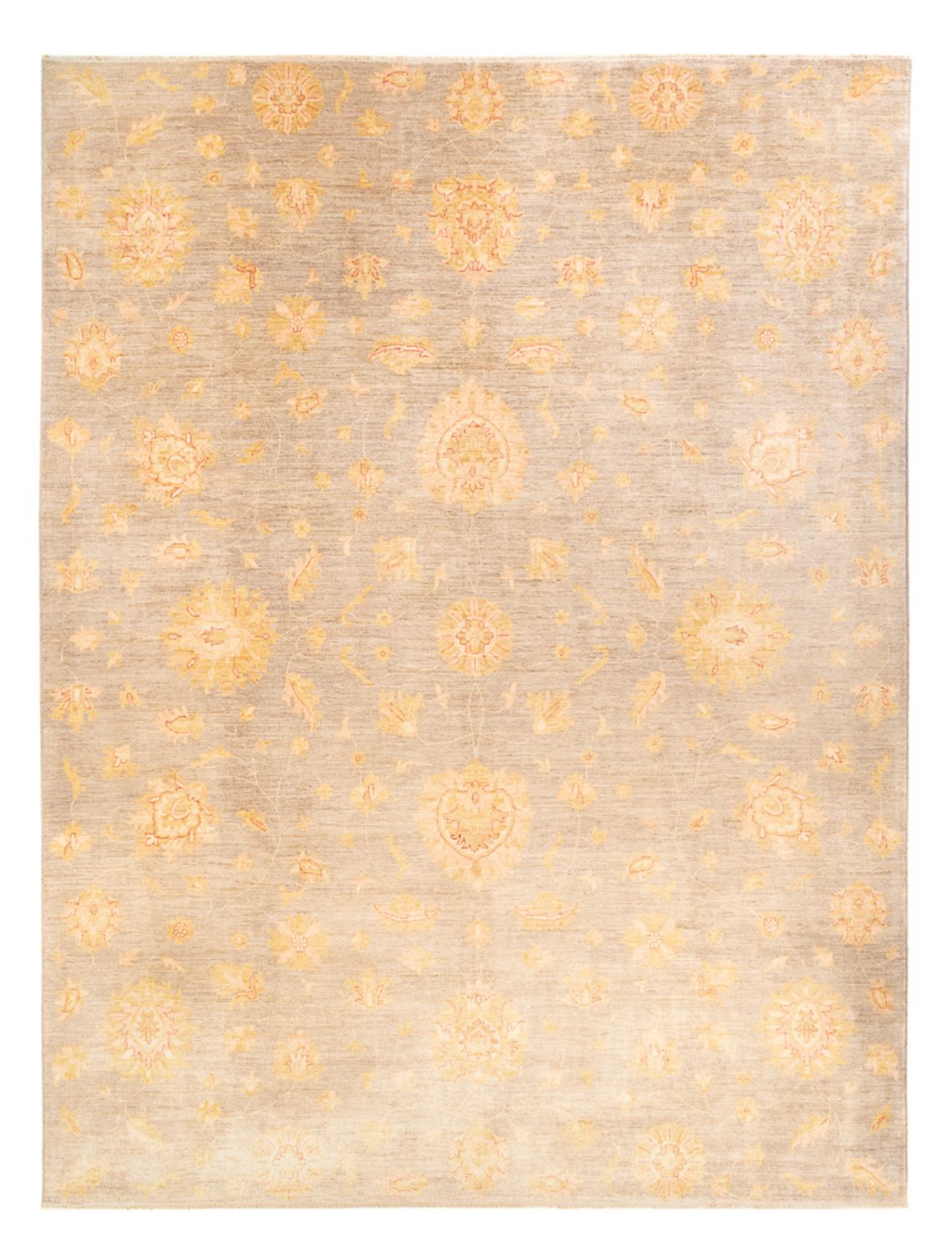 Ziegler Rug - 397 x 304 cm - dark beige