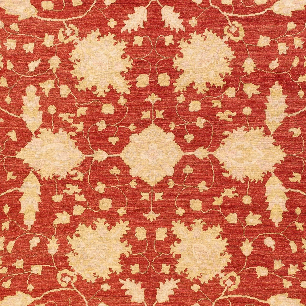 Ziegler Rug - 399 x 305 cm - red