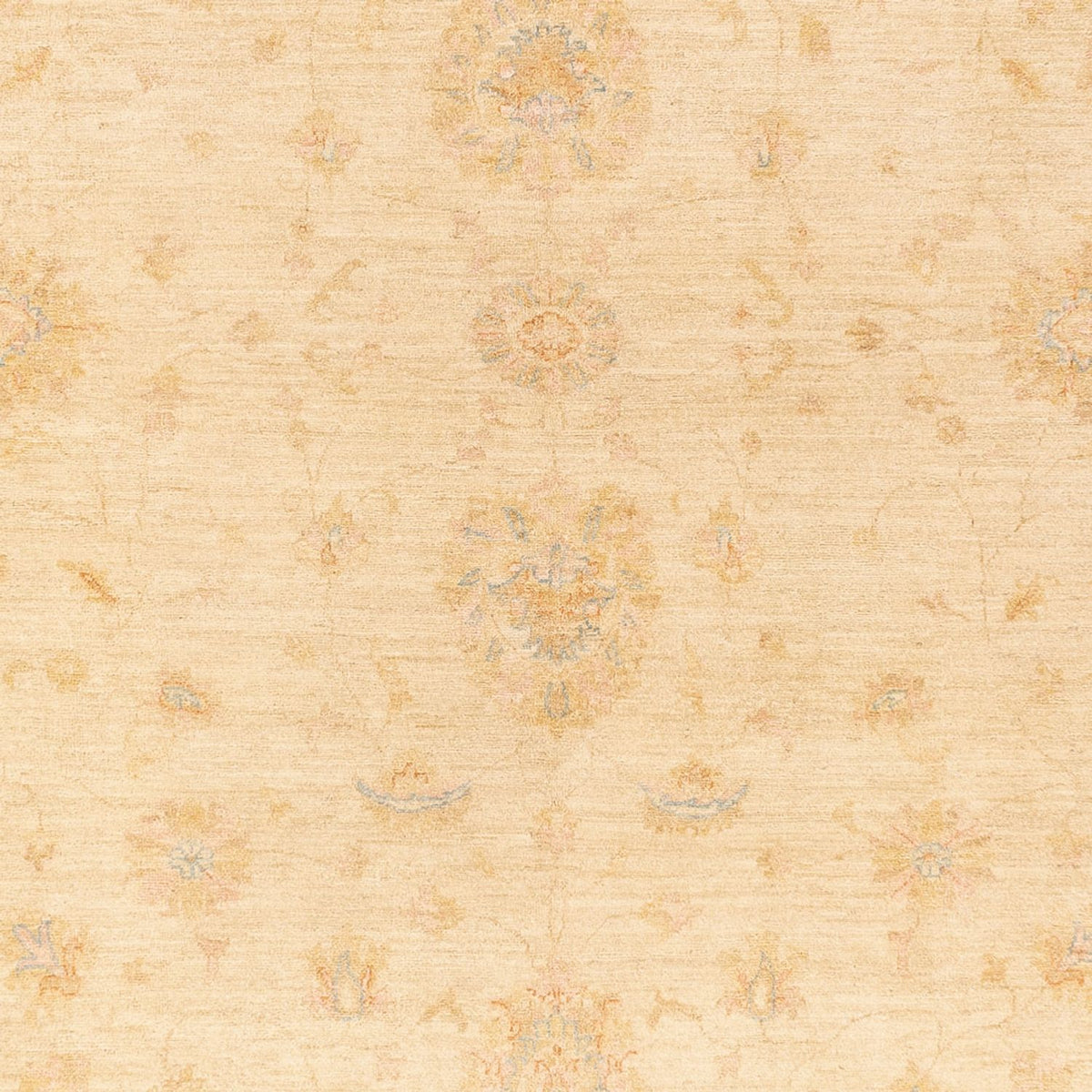 Ziegler Rug - 382 x 304 cm - beige