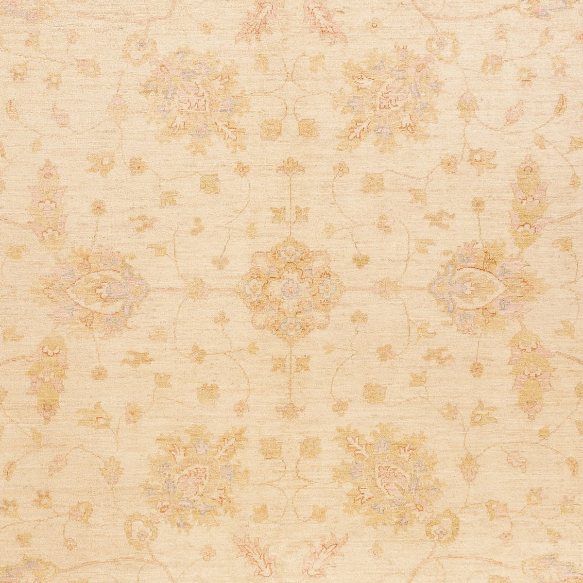 Ziegler Rug - 394 x 305 cm - beige