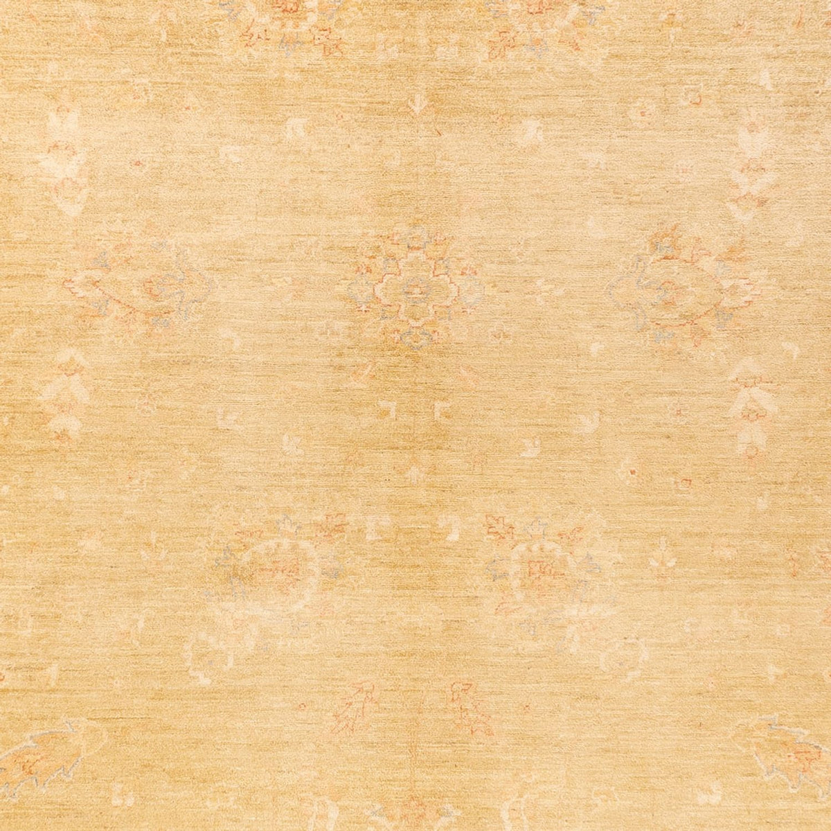 Ziegler Rug - 394 x 290 cm - beige