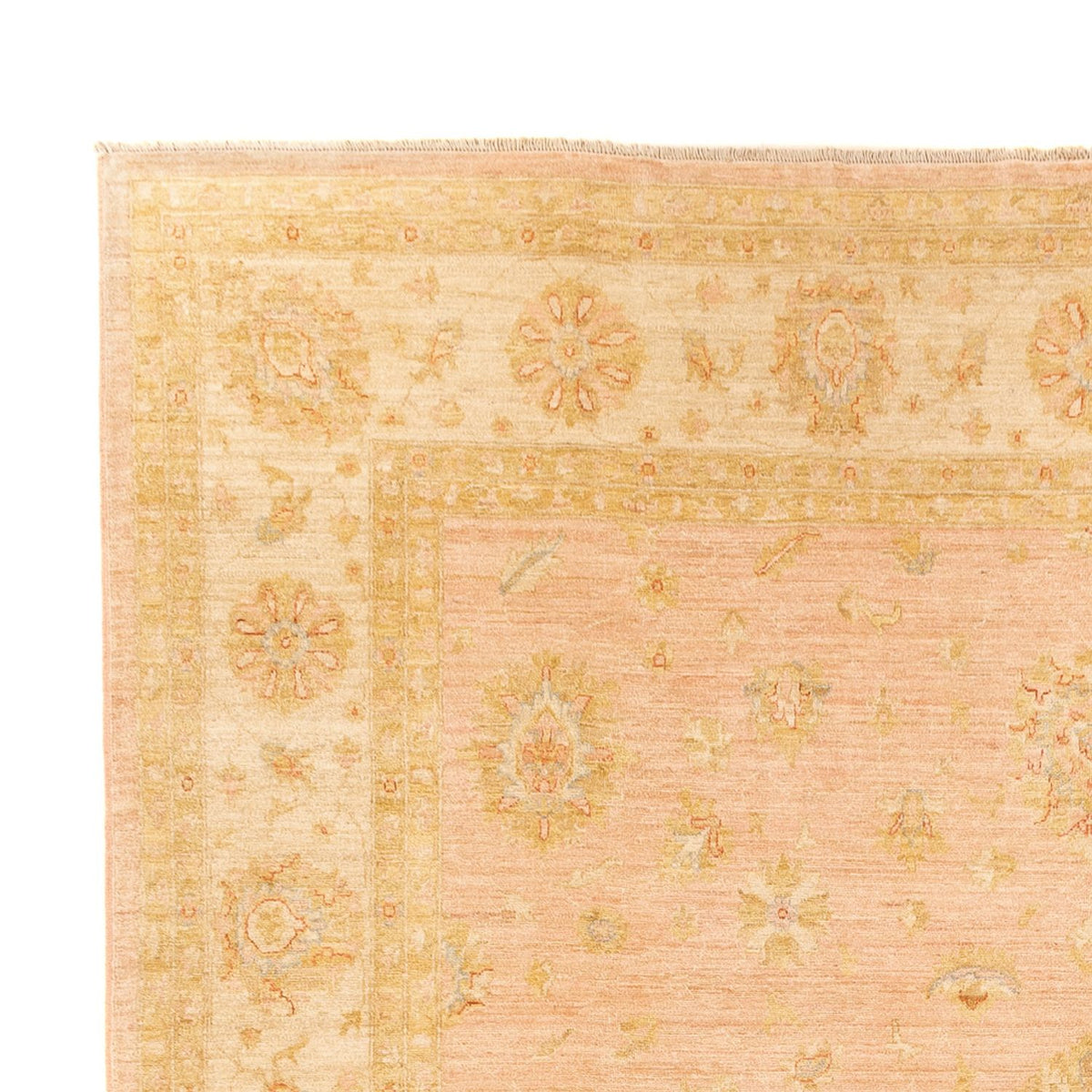 Ziegler Rug - 393 x 300 cm - beige