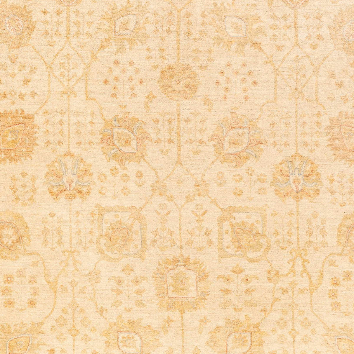Ziegler Rug - 400 x 305 cm - beige