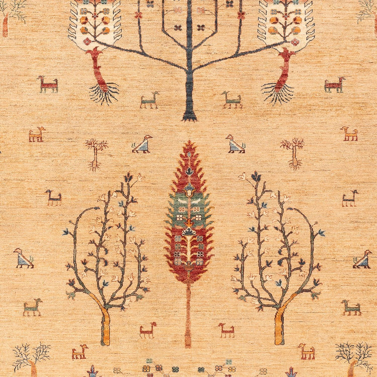 Ziegler Rug - Ariana - 388 x 298 cm - beige