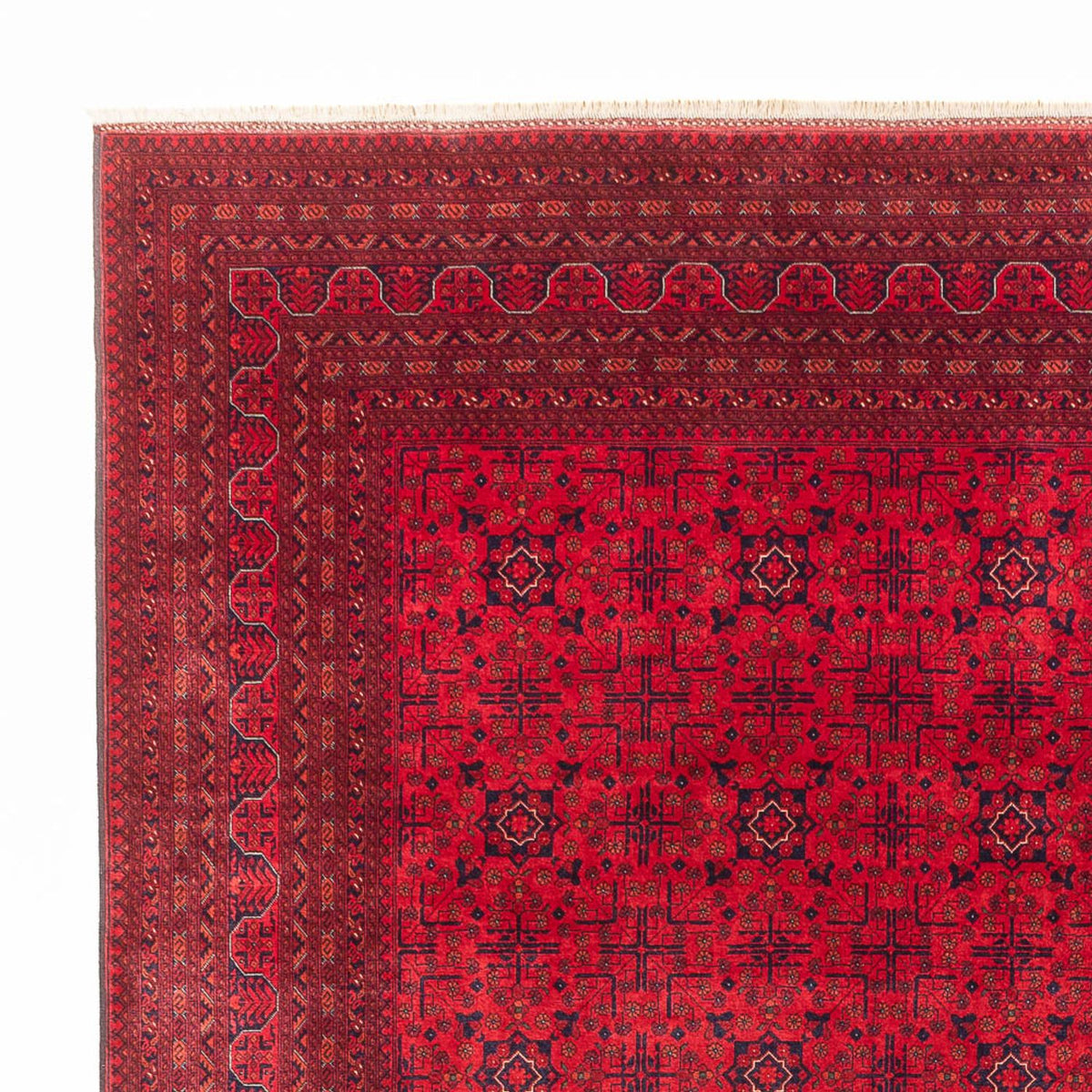 Afghan Rug 292x390cm - Oriental Rug