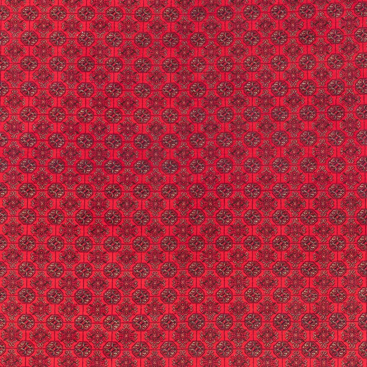 Afghan Rug - Royal - 380 x 292 cm - red