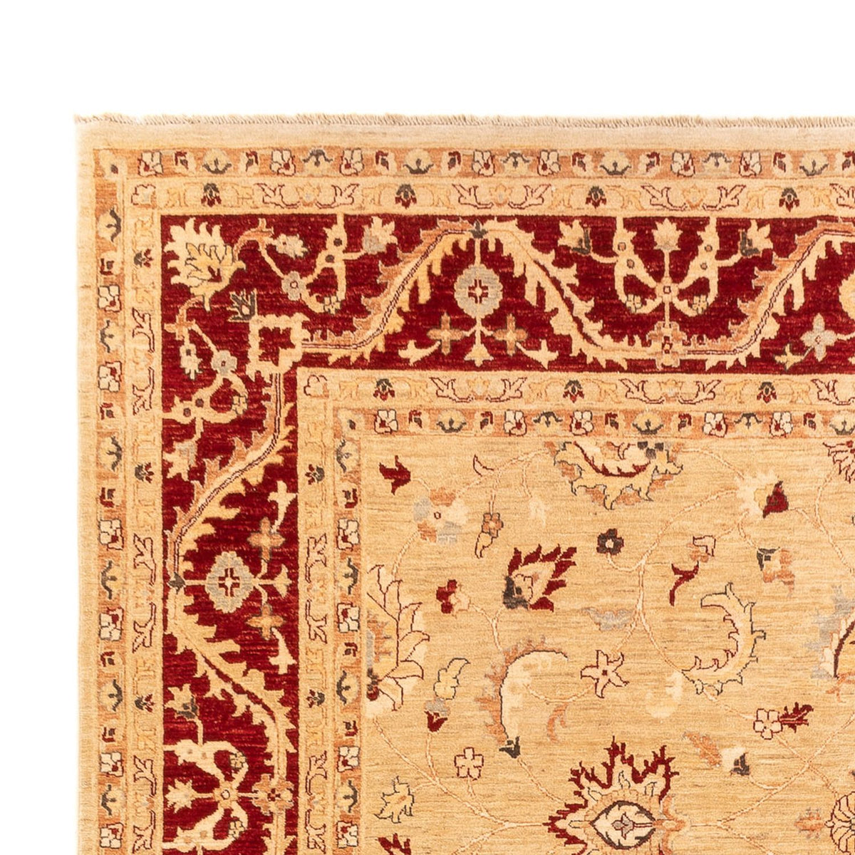 Ziegler Rug - 383 x 271 cm - beige