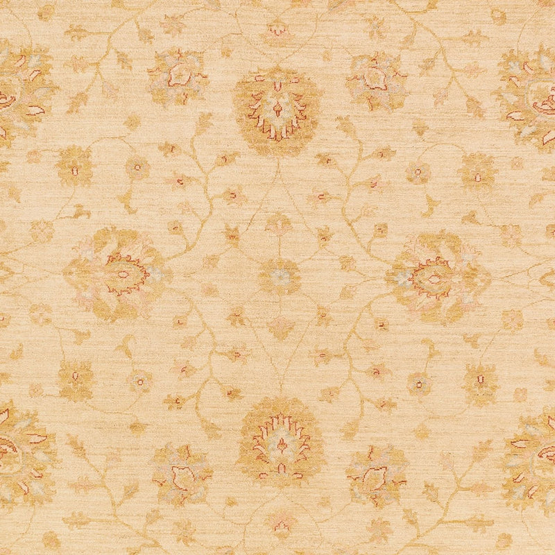Ziegler Rug - 365 x 273 cm - beige